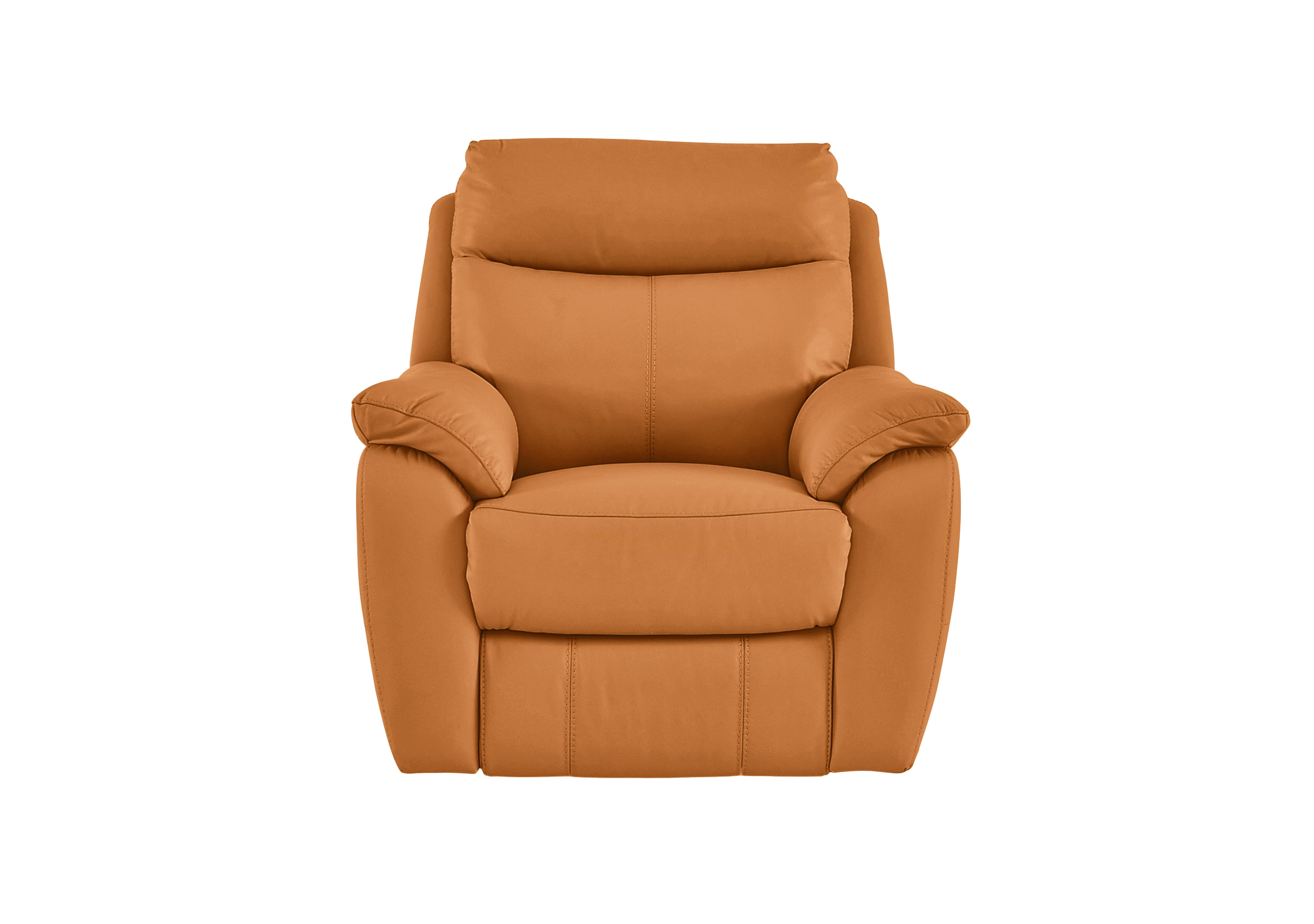 Snug Leather Armchair in Bv-335e Honey Yellow on Furniture Village