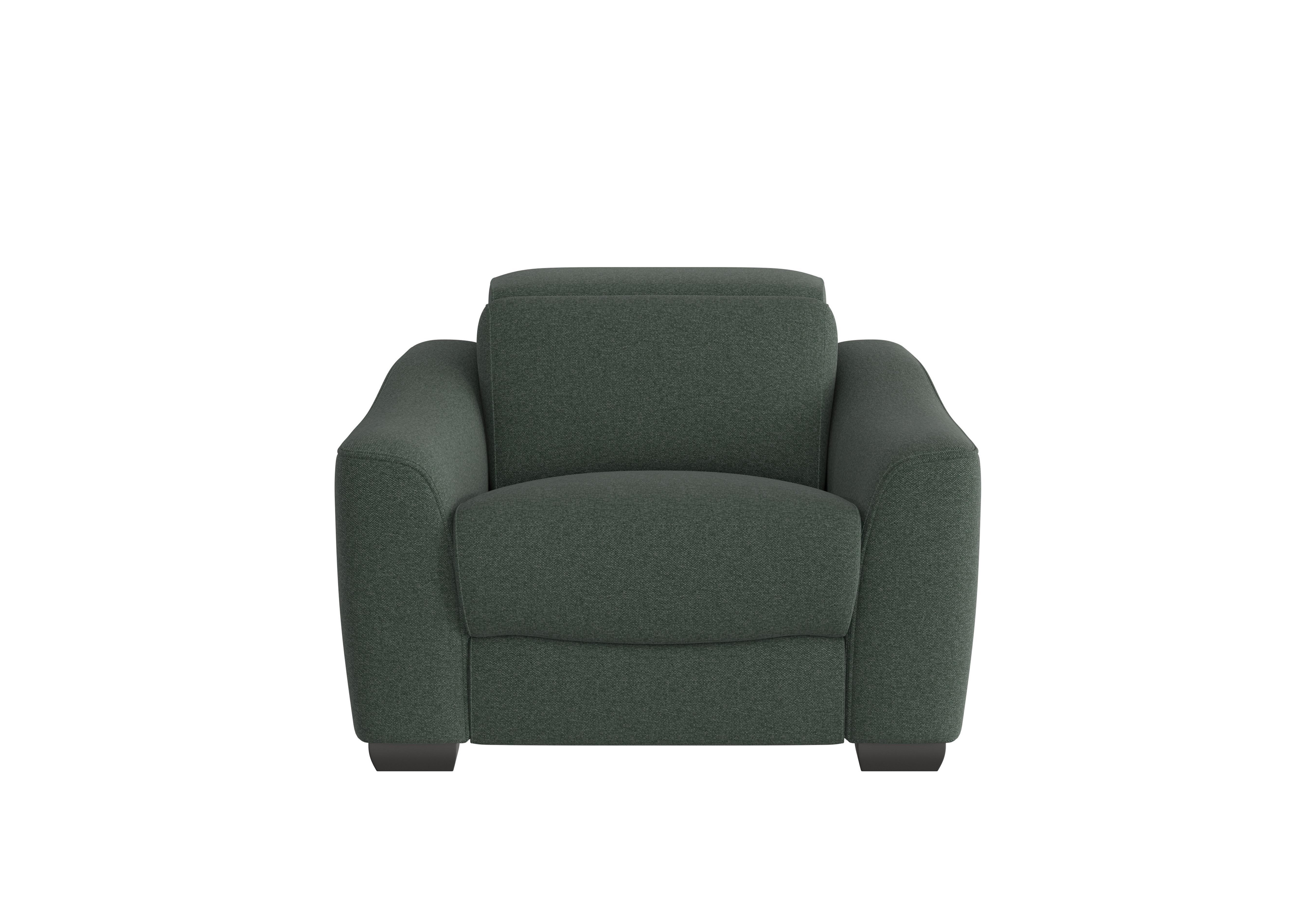 Xavier Fabric Armchair in Fab-Ska-R48 Moss Green on Furniture Village