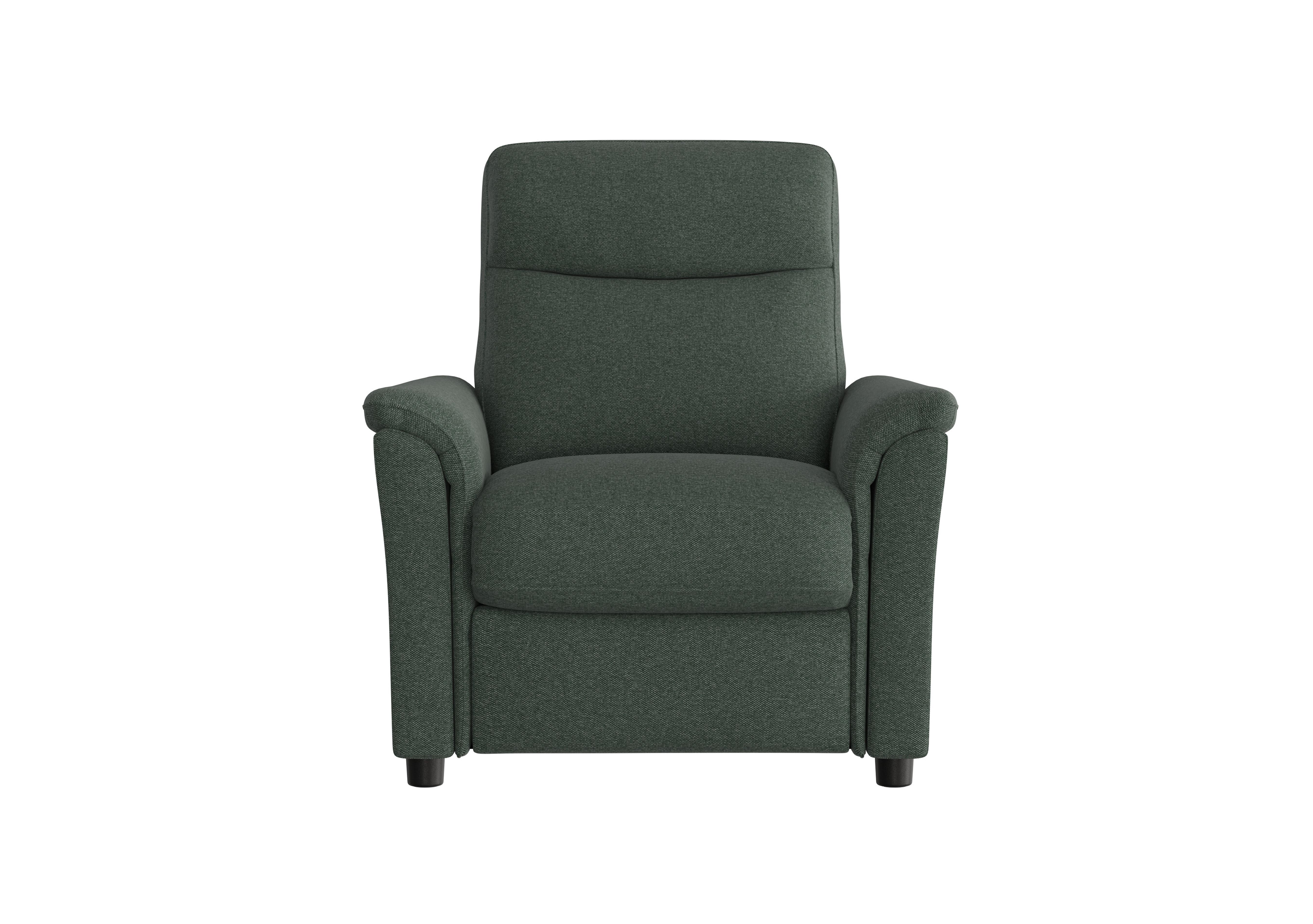 Piccolo Fabric Armchair in Fab-Ska-R48 Moss Green on Furniture Village