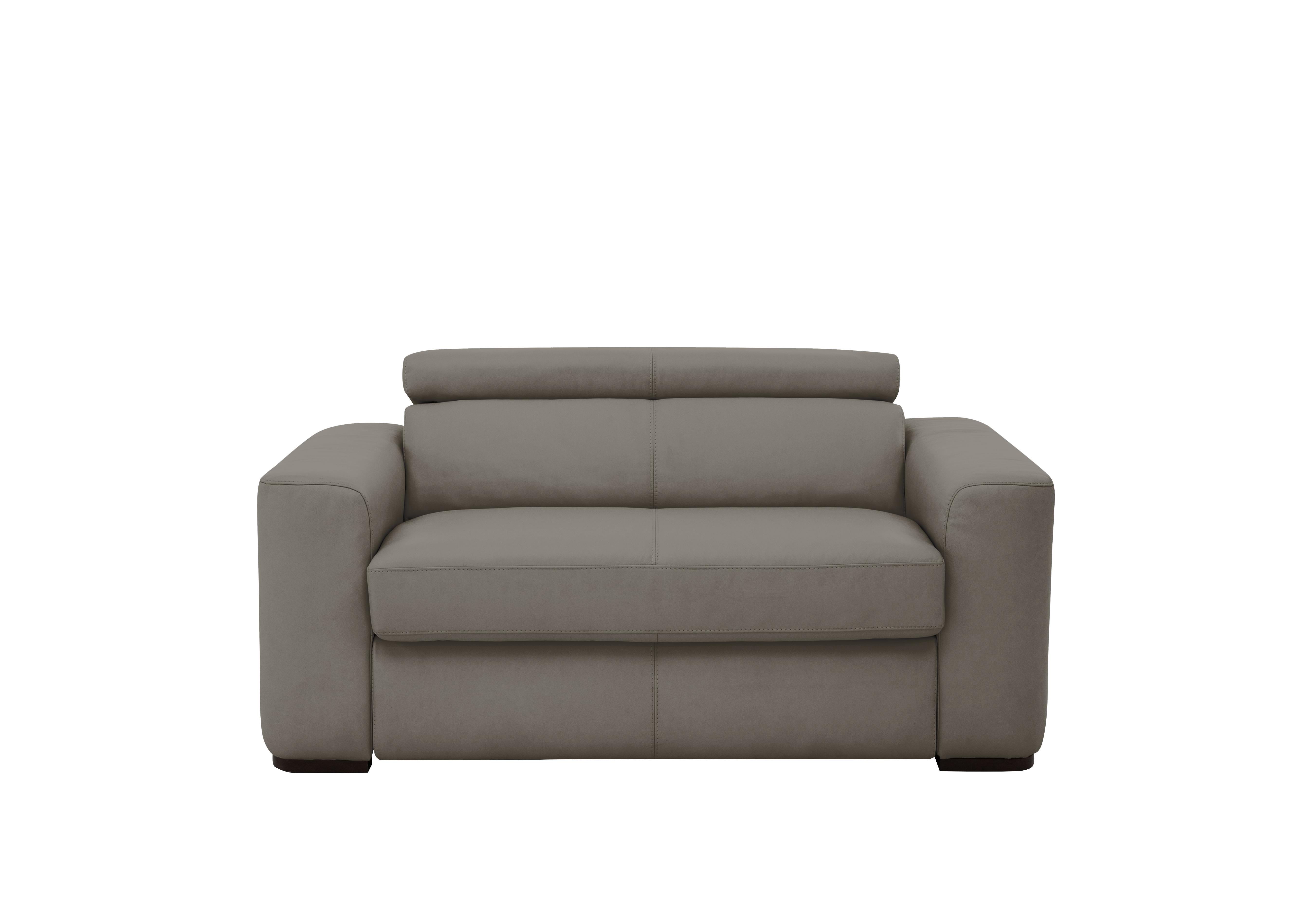 Infinity Large Leather Armchair in Bv-042e Elephant on Furniture Village