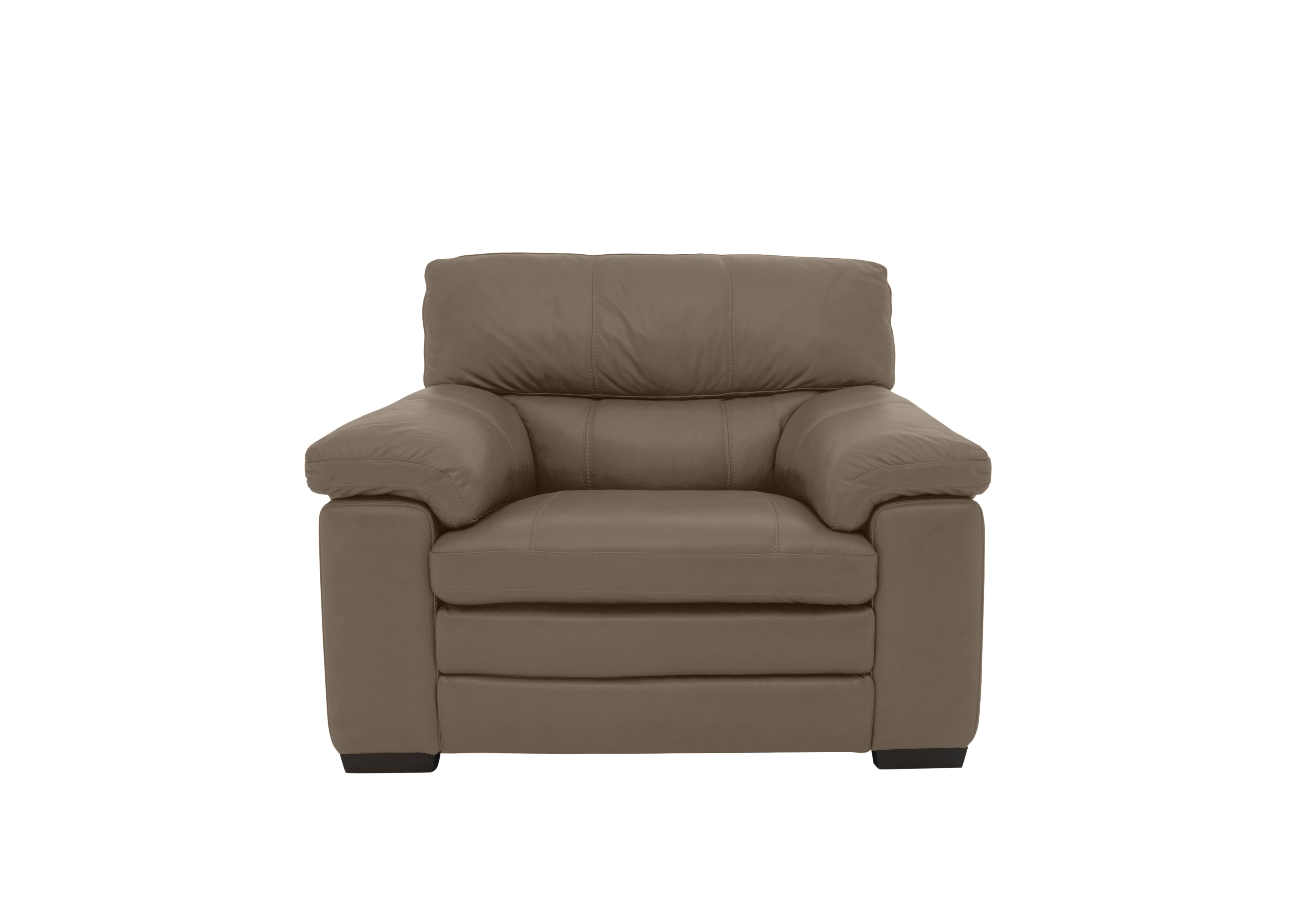 Cozee Leather Armchair in Nw-513e Bark on Furniture Village