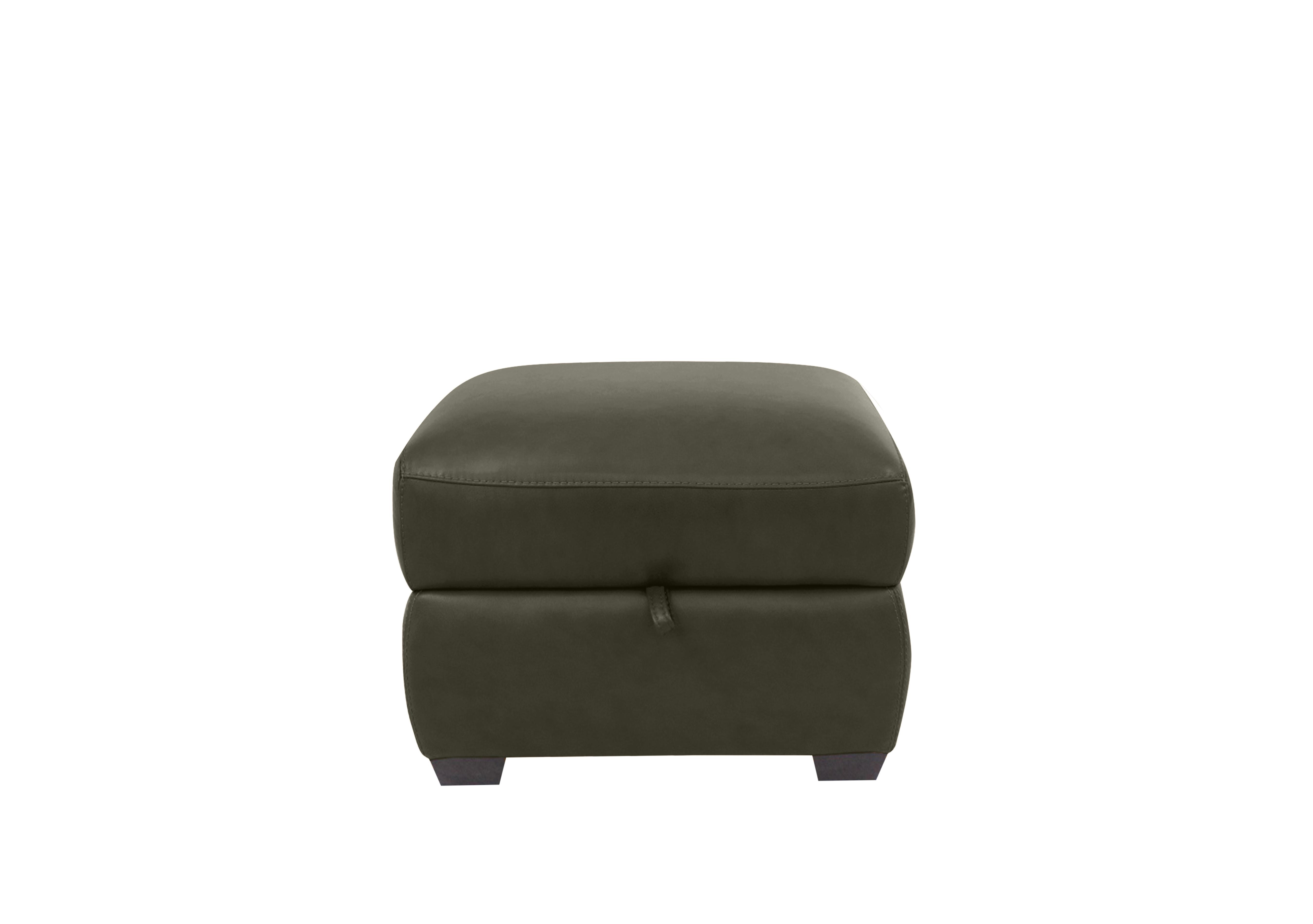 Cozee Leather Storage Stool in Nw-548e Olive on Furniture Village