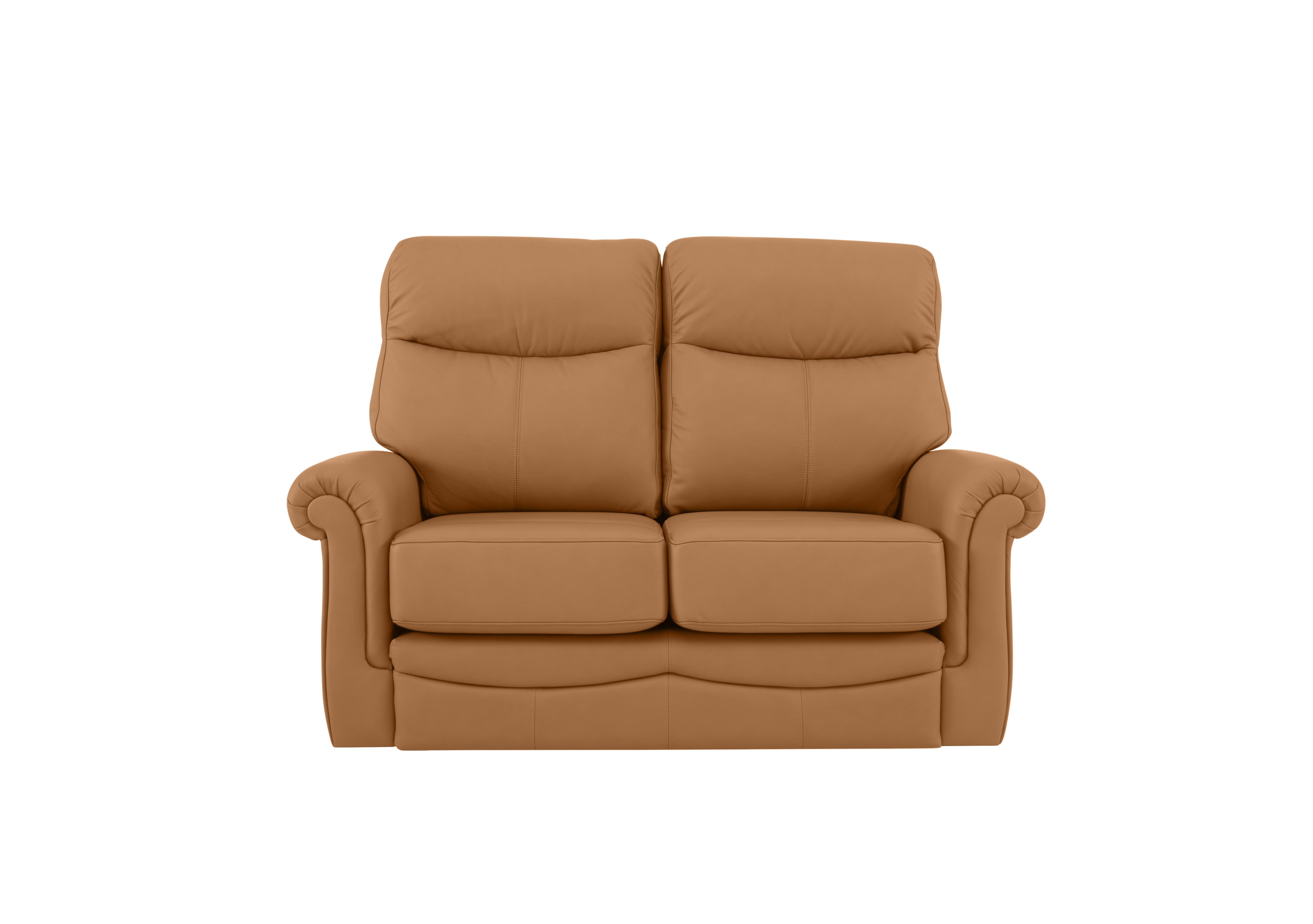 Avon Small 2 Seater Leather Sofa in L847 Cambridge Tan on Furniture Village