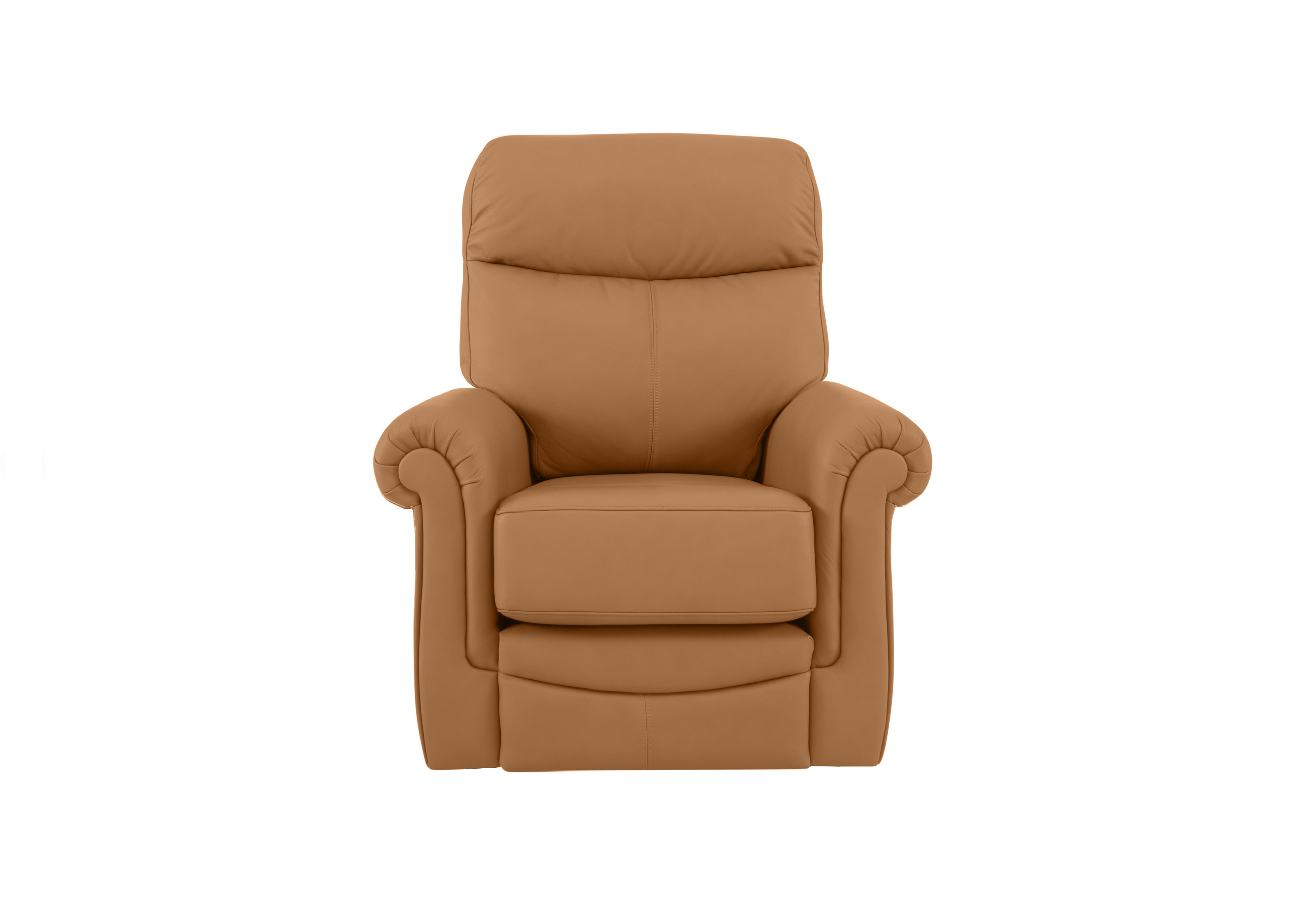 Avon Small Leather Armchair in L847 Cambridge Tan on Furniture Village