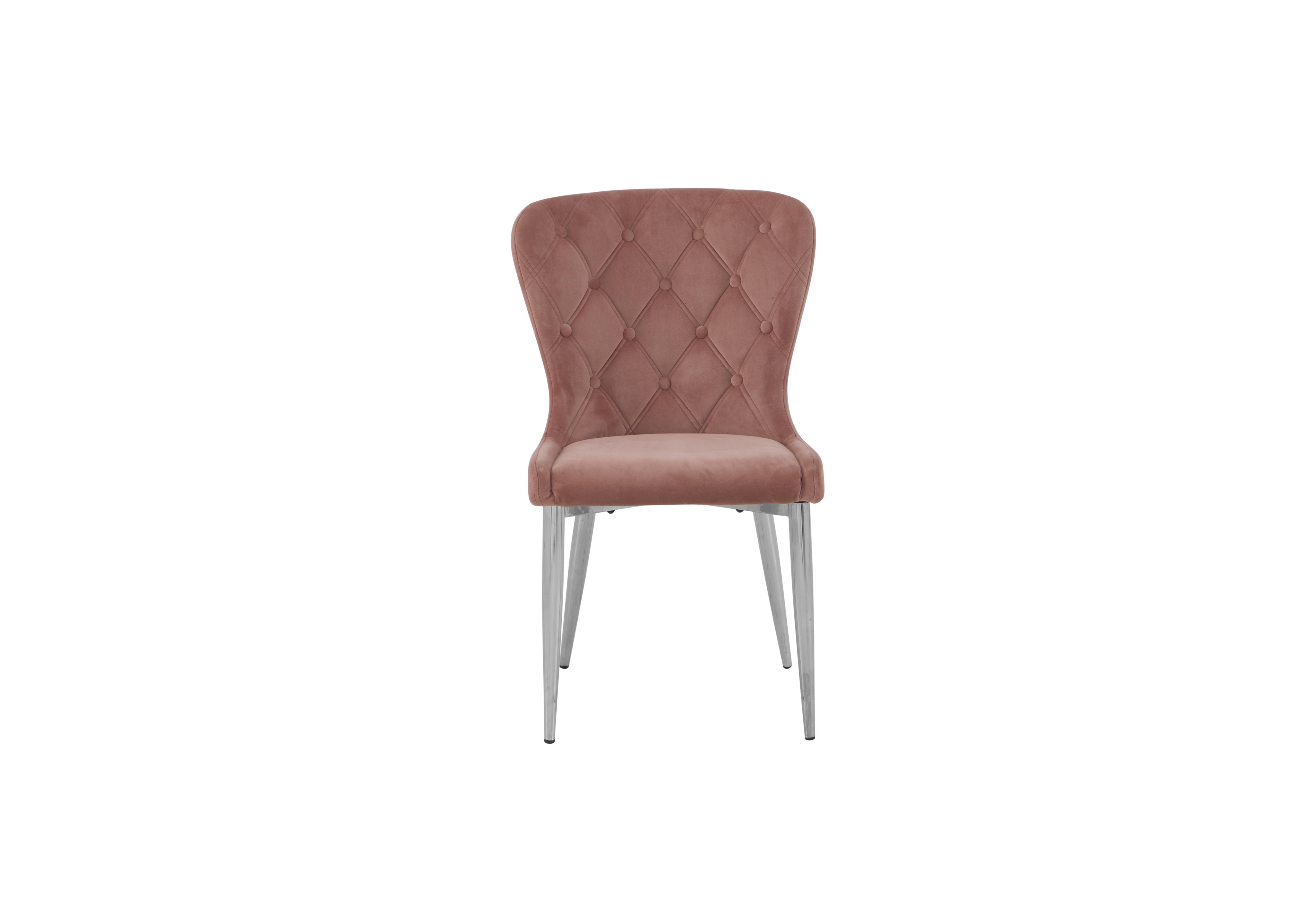 Donnie Chair in Blush Velvet Chrome Legs on Furniture Village