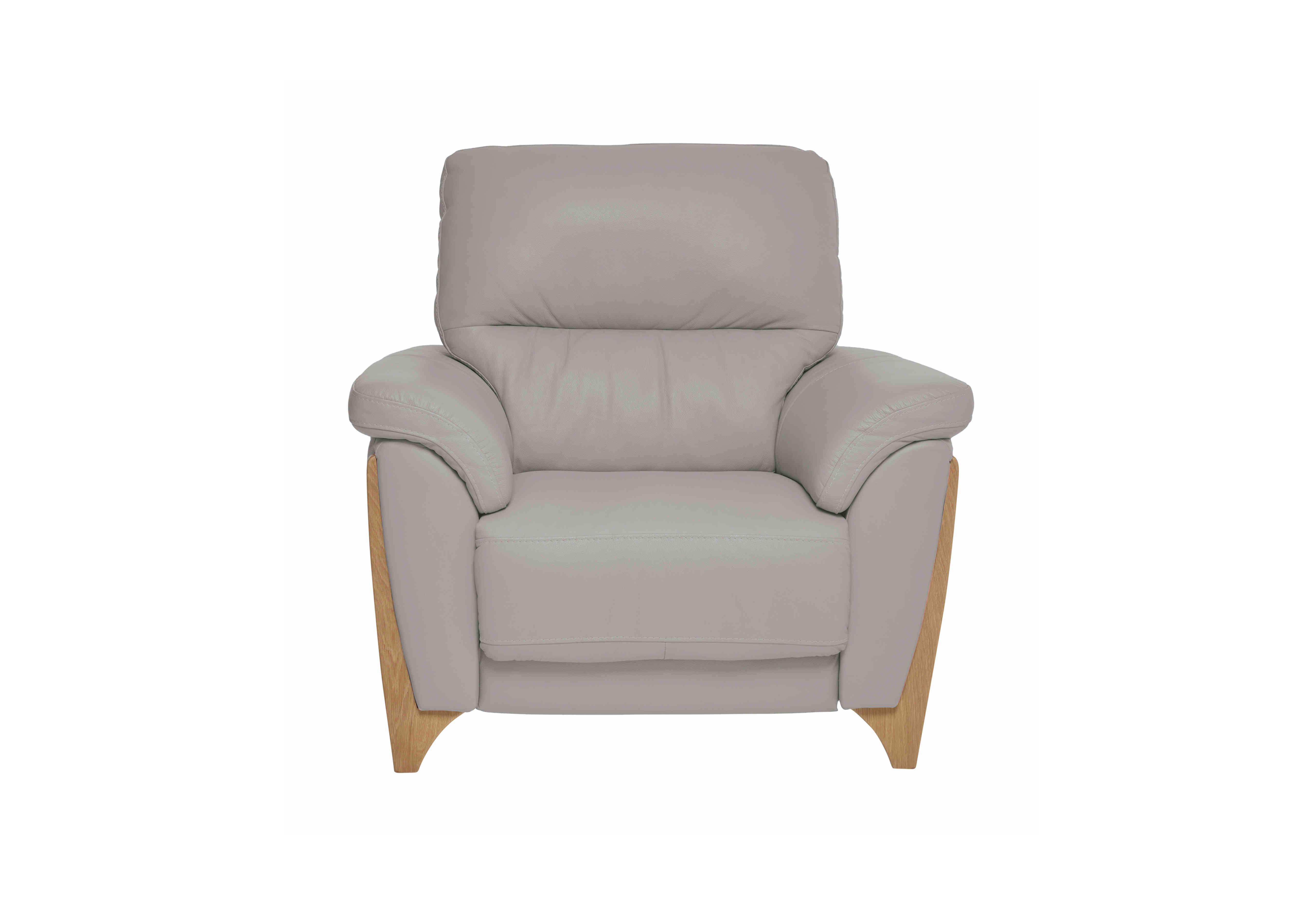 Enna Leather Armchair in L906 on Furniture Village