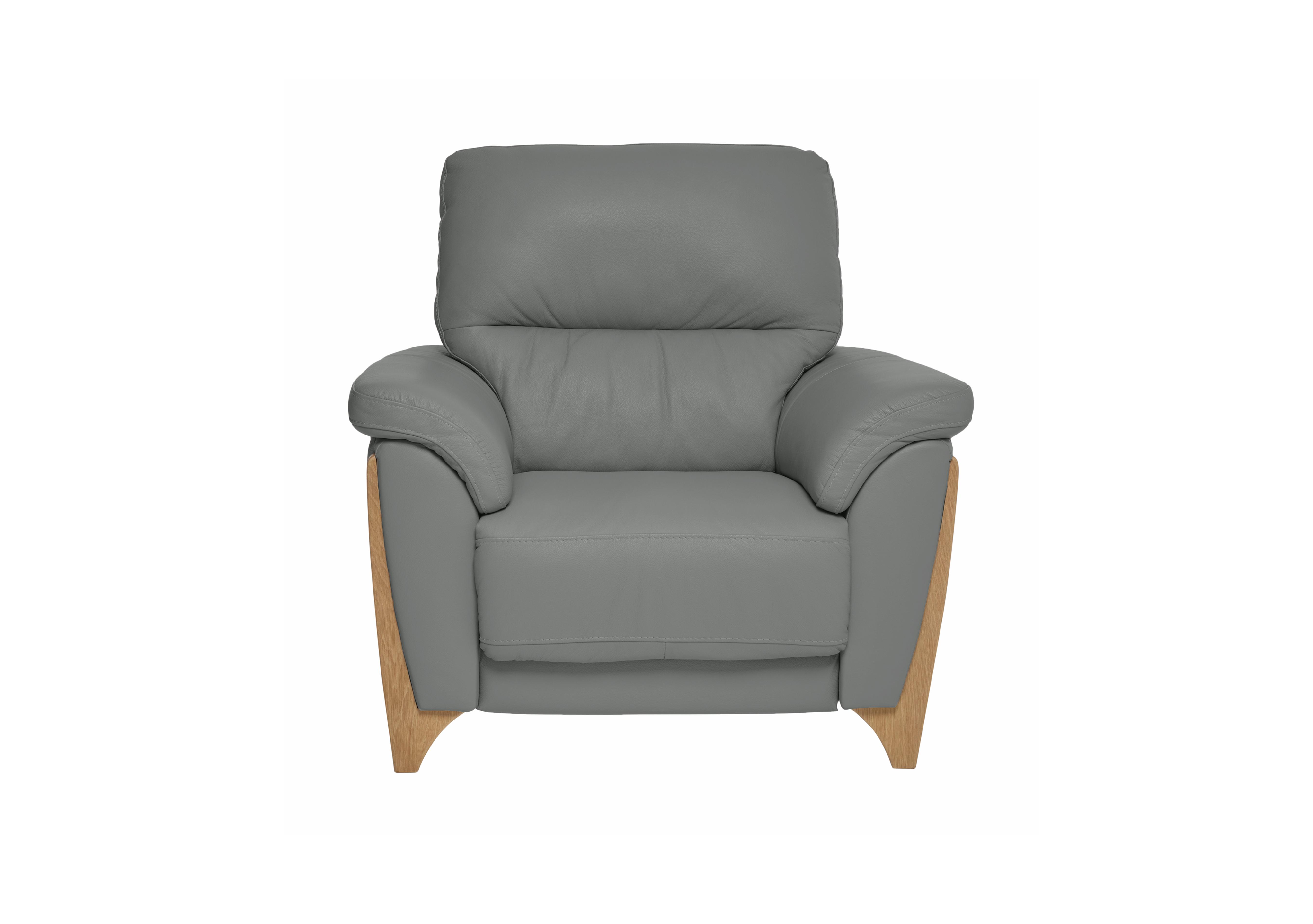 Enna Leather Armchair in L956 on Furniture Village
