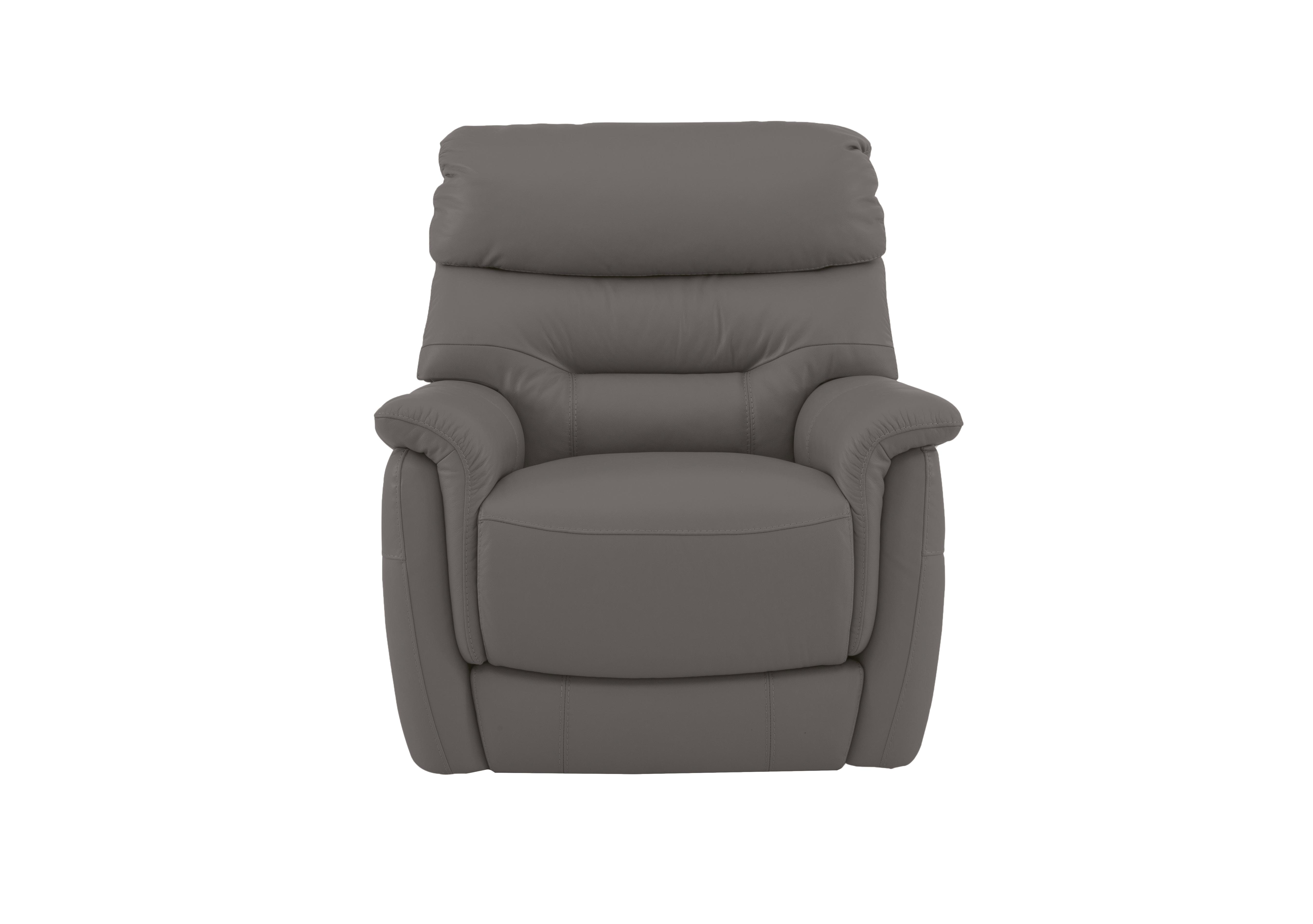 Chicago Leather Armchair in Bv-042e Elephant on Furniture Village