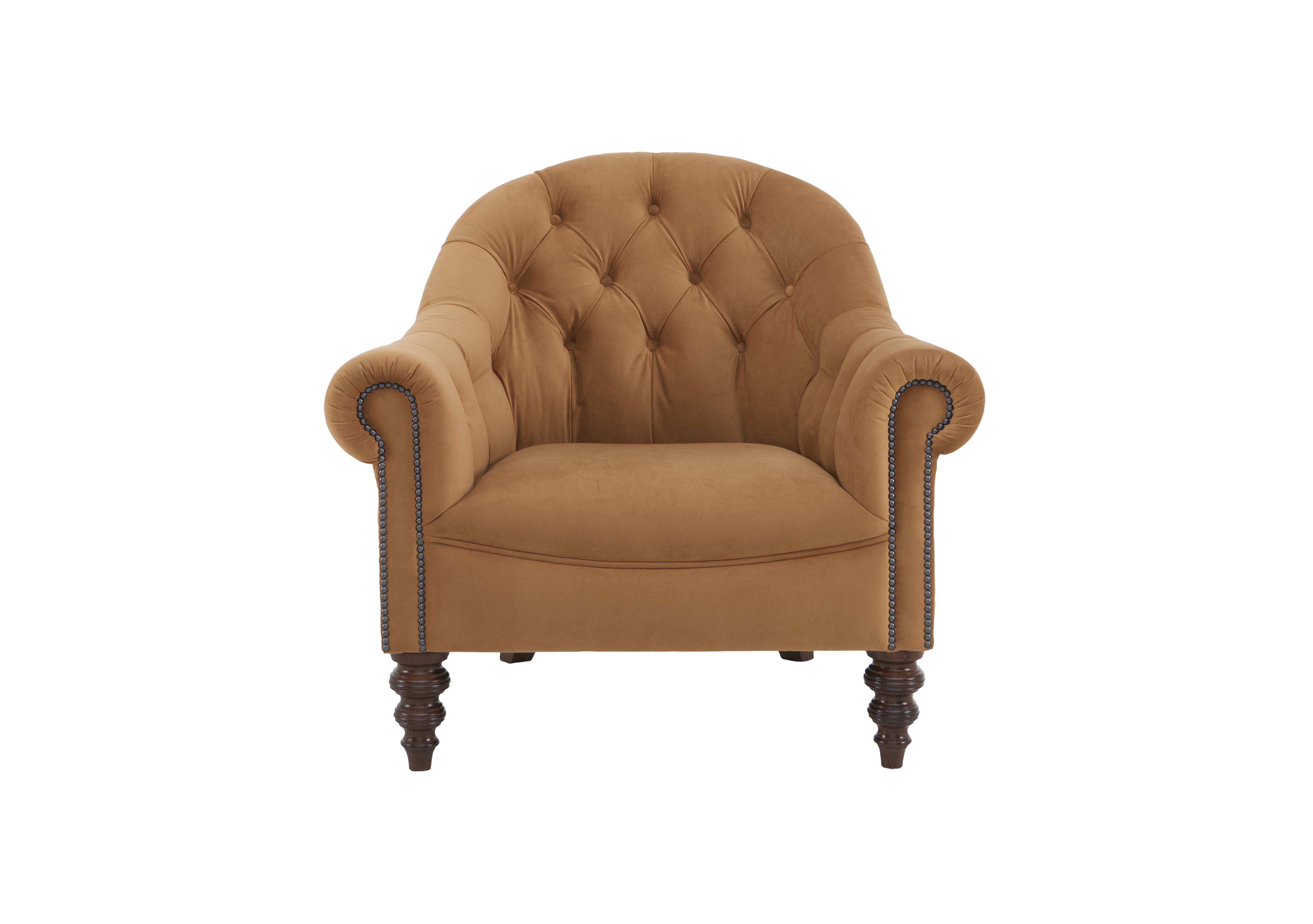 Talisker Velvet Fabric Button Armchair in  on Furniture Village