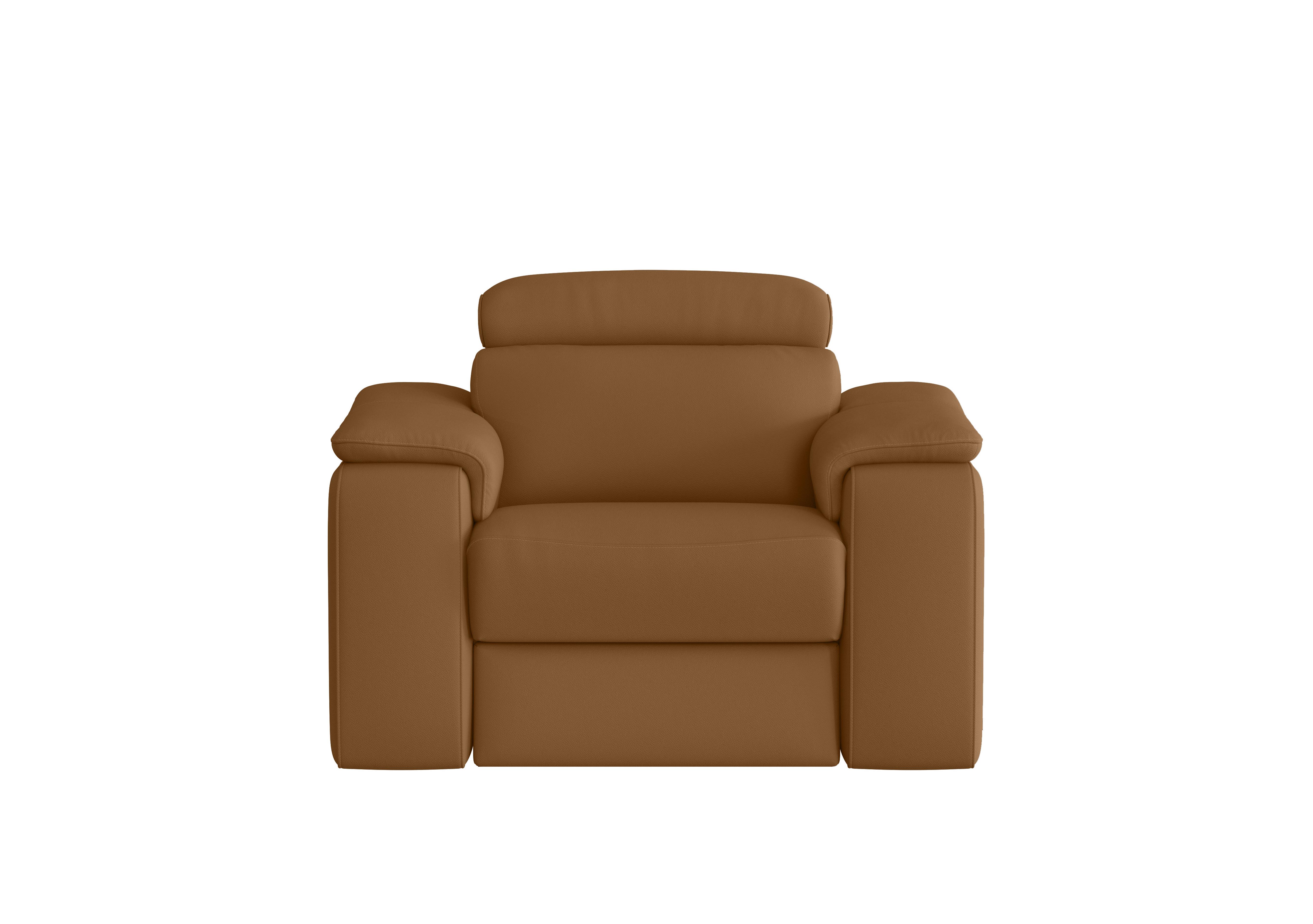 Davide Leather Armchair in 2151 Botero Cuoio on Furniture Village