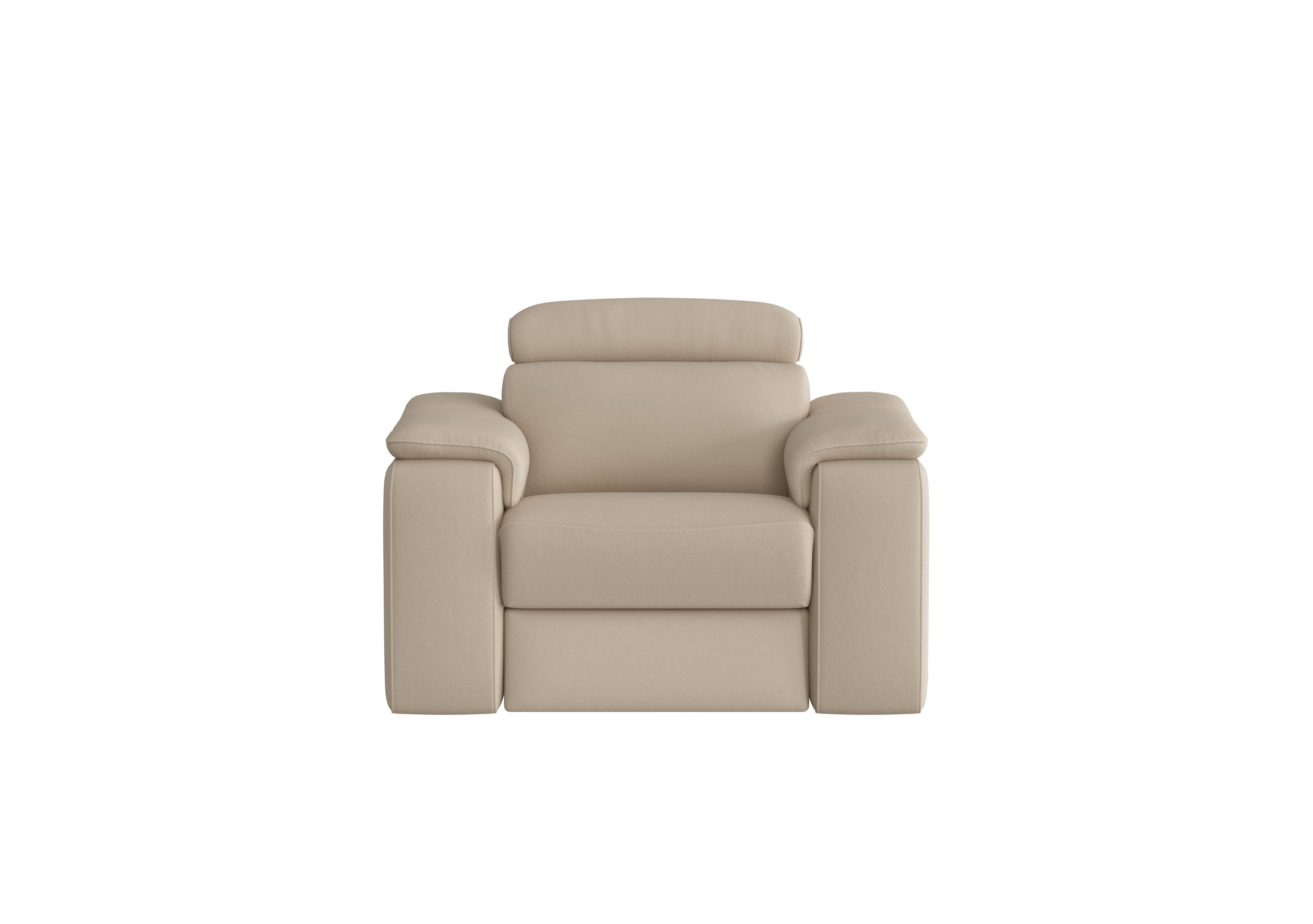 Davide Leather Armchair in 352 Torello Fango on Furniture Village