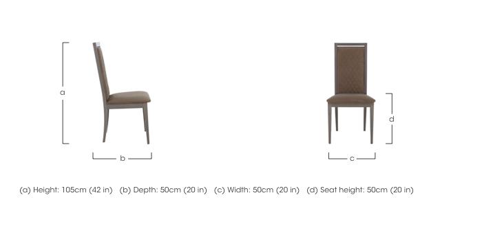 Palazzo Rombi Dining Chair in Dark Walnut in  on Furniture Village