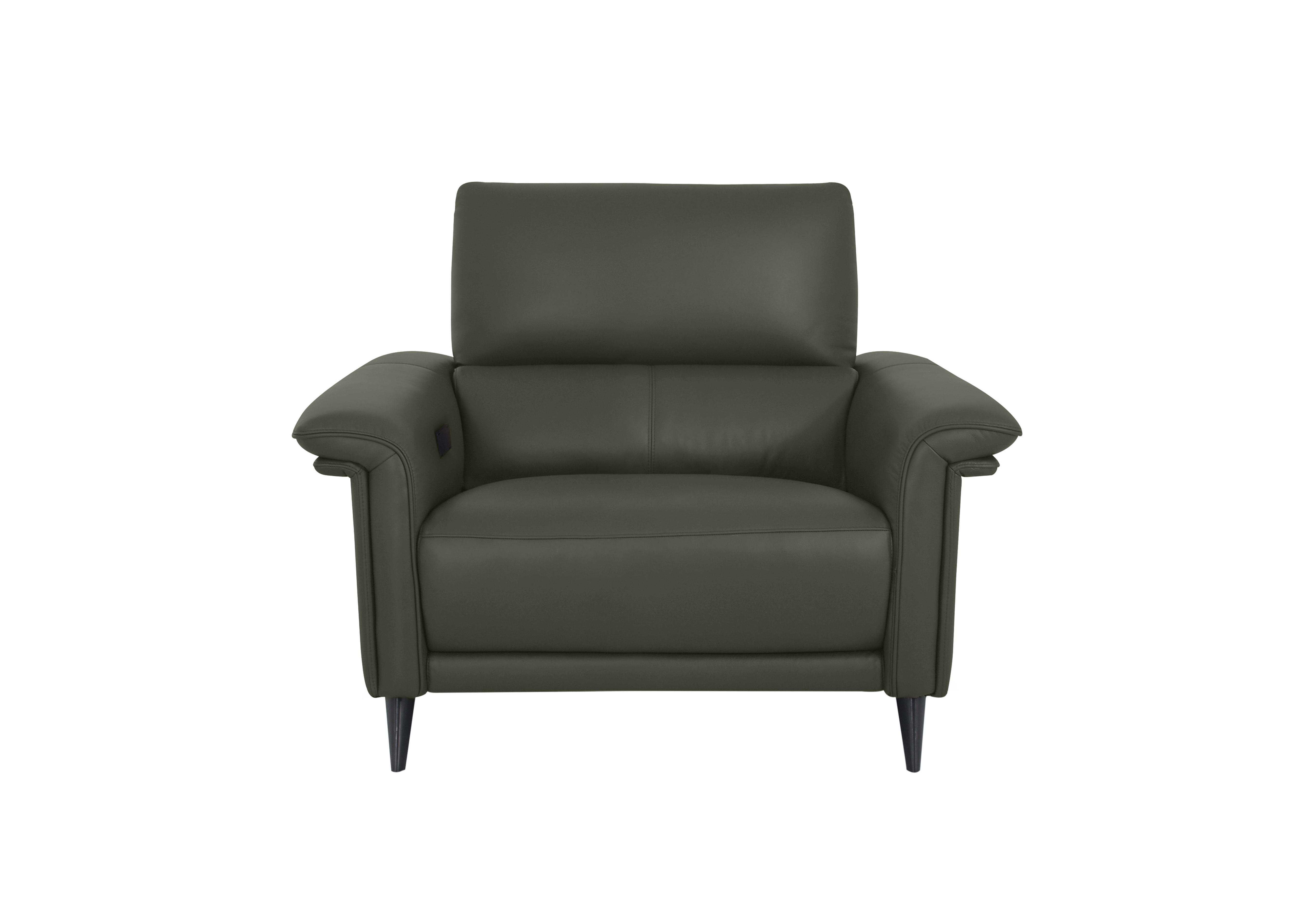 Huxley Leather Chair in Np-548e Dark Olive on Furniture Village