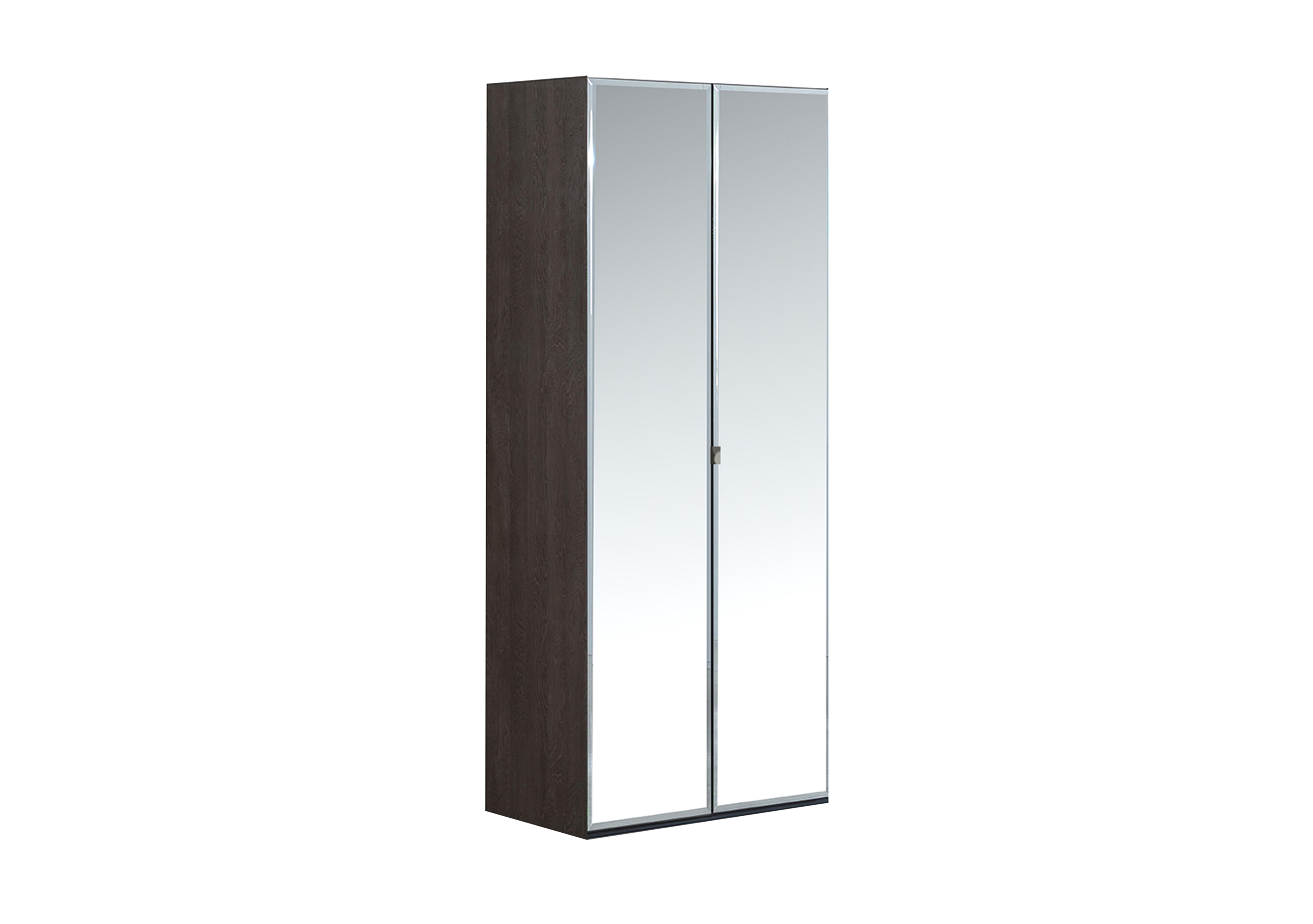 Venezia 2 Door Wardrobe with Mirror Doors in Silver Birch on Furniture Village