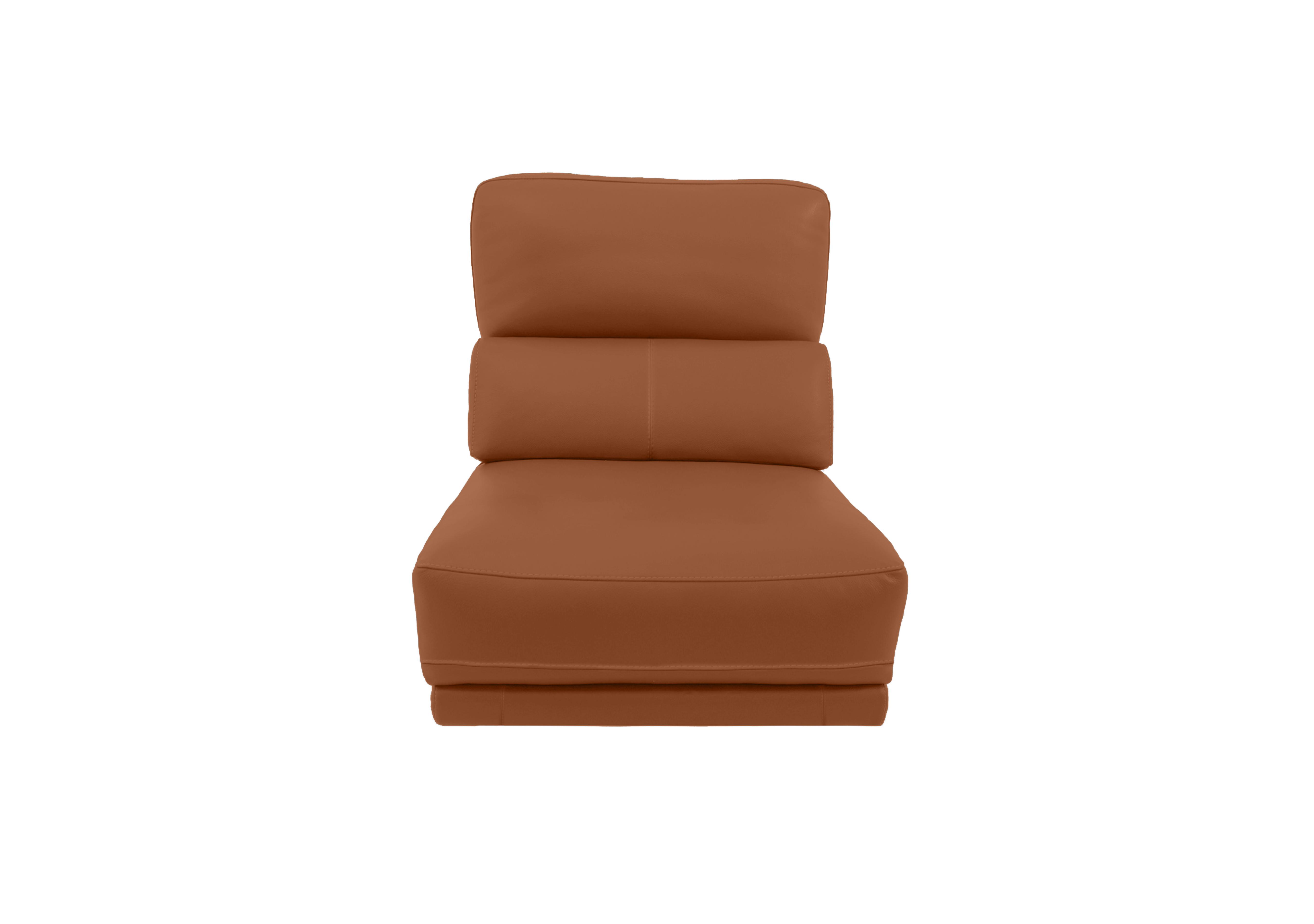 Axel Leather 1.25 Seater Armless Unit in Hw-602b Pecan Brown on Furniture Village