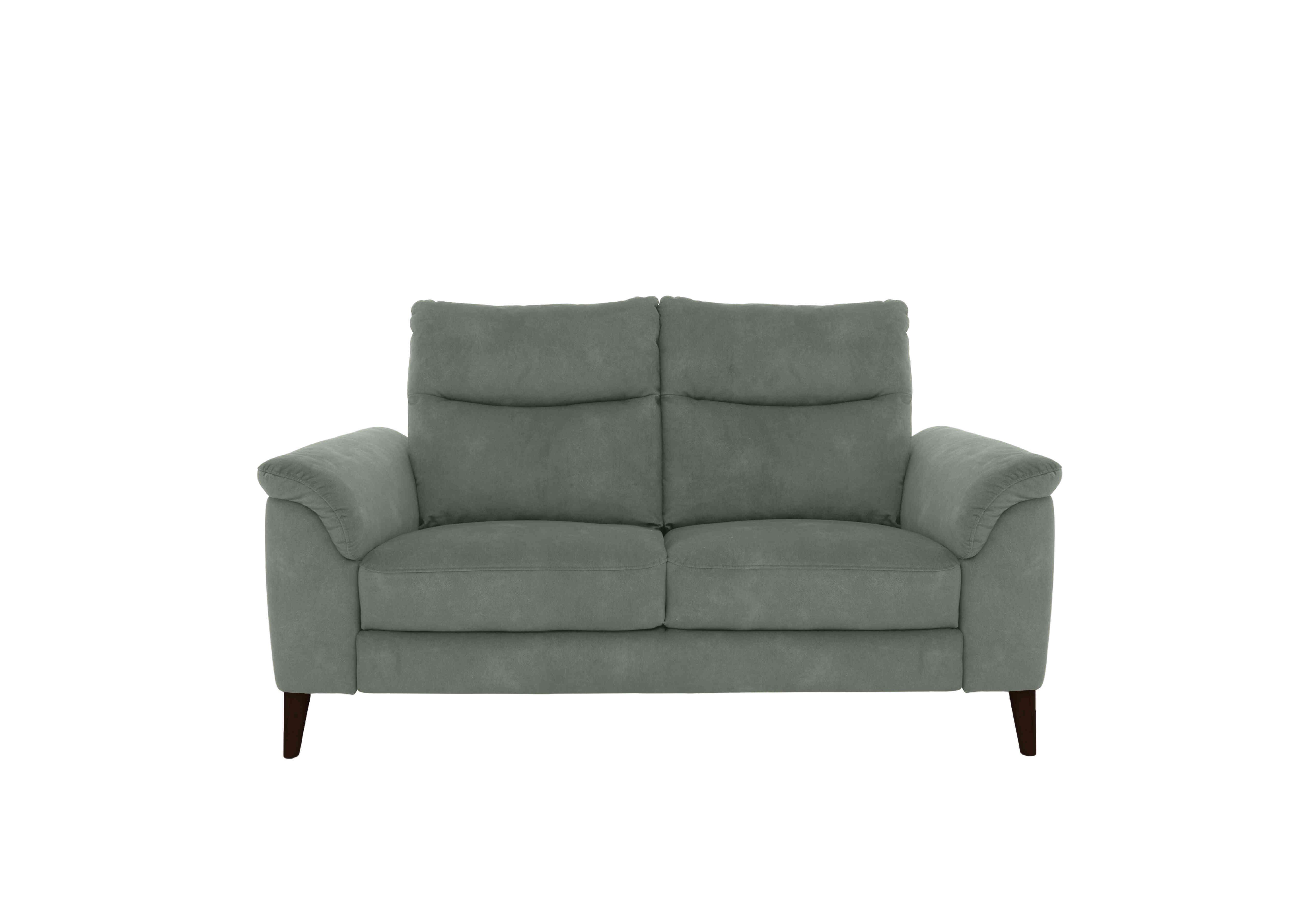 Morgan 2 Seater Fabric Sofa in Fern Dexter 14 43514 on Furniture Village