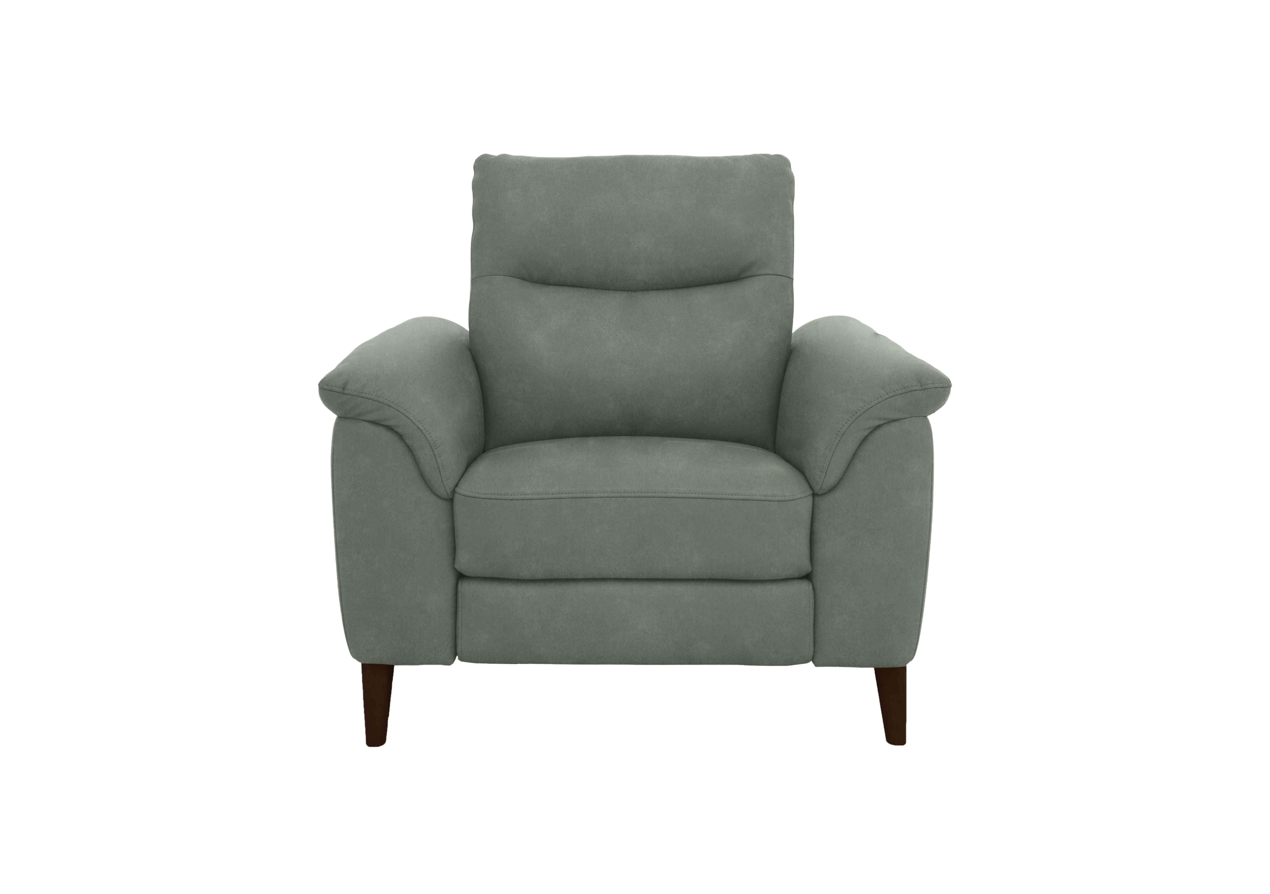 Morgan Fabric Armchair in Fern Dexter 14 43514 on Furniture Village