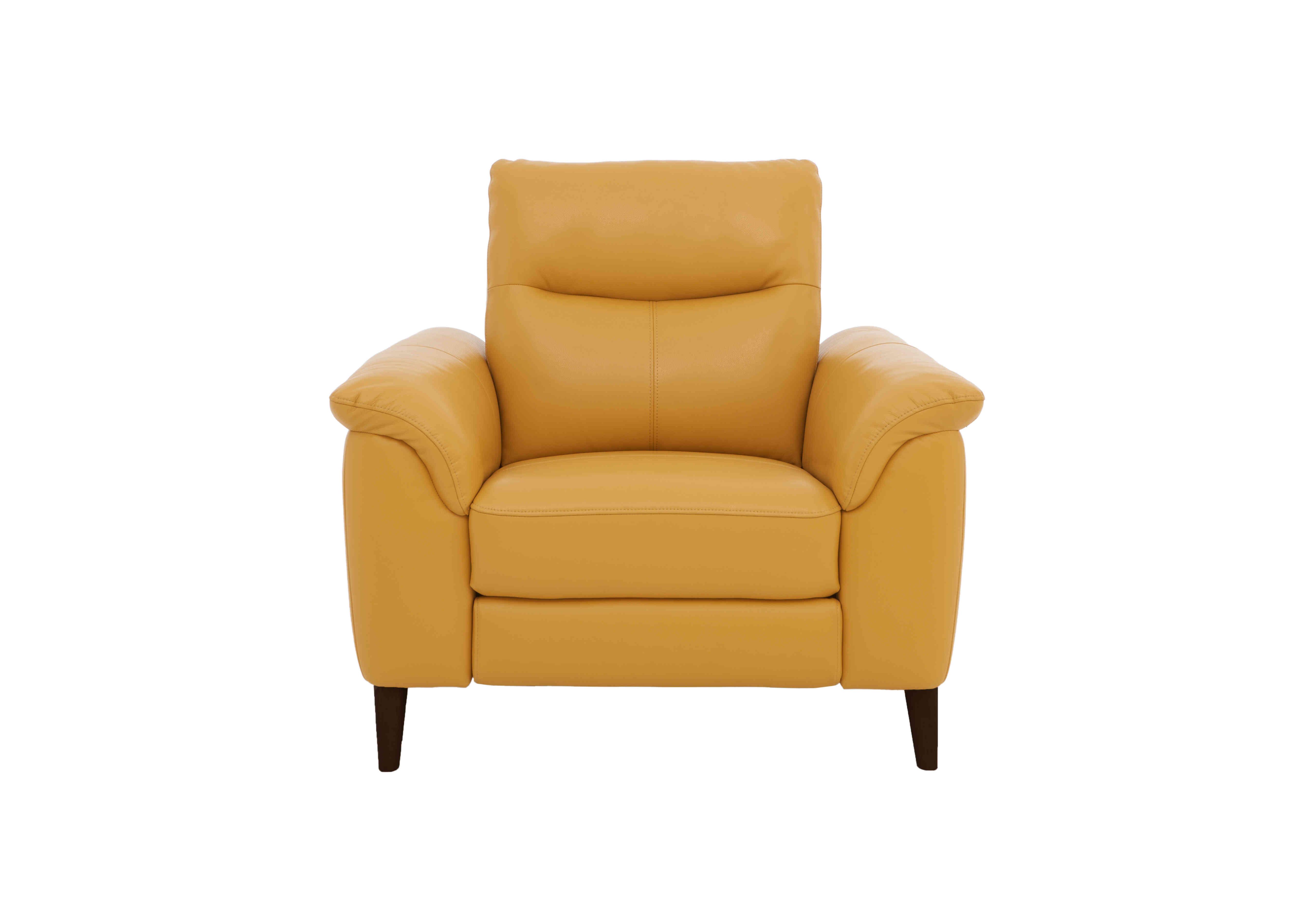 Morgan Leather Armchair in Florida Sunburst Cat-35/14 on Furniture Village