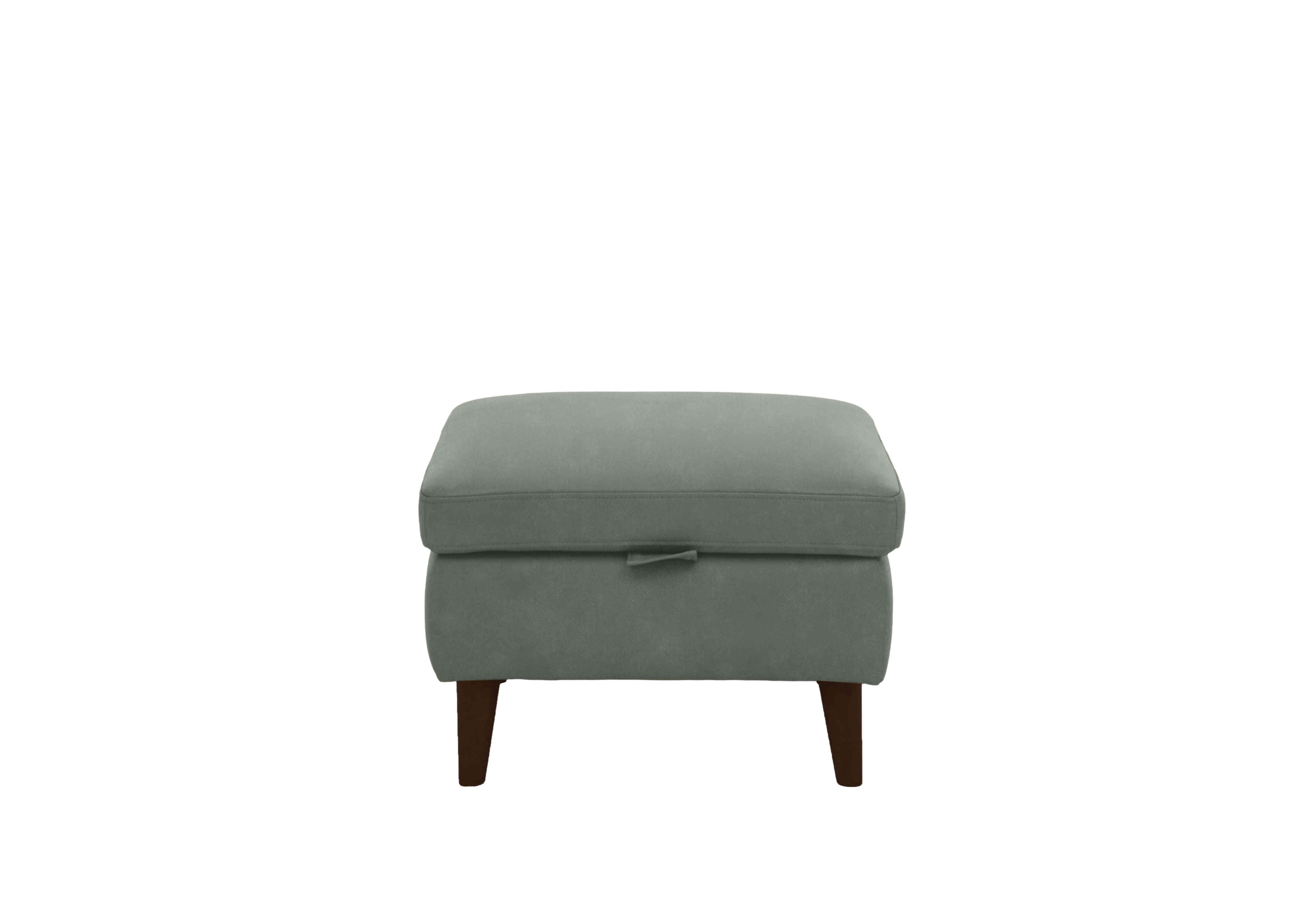 Morgan Fabric Storage Footstool in Fern Dexter 14 43514 on Furniture Village