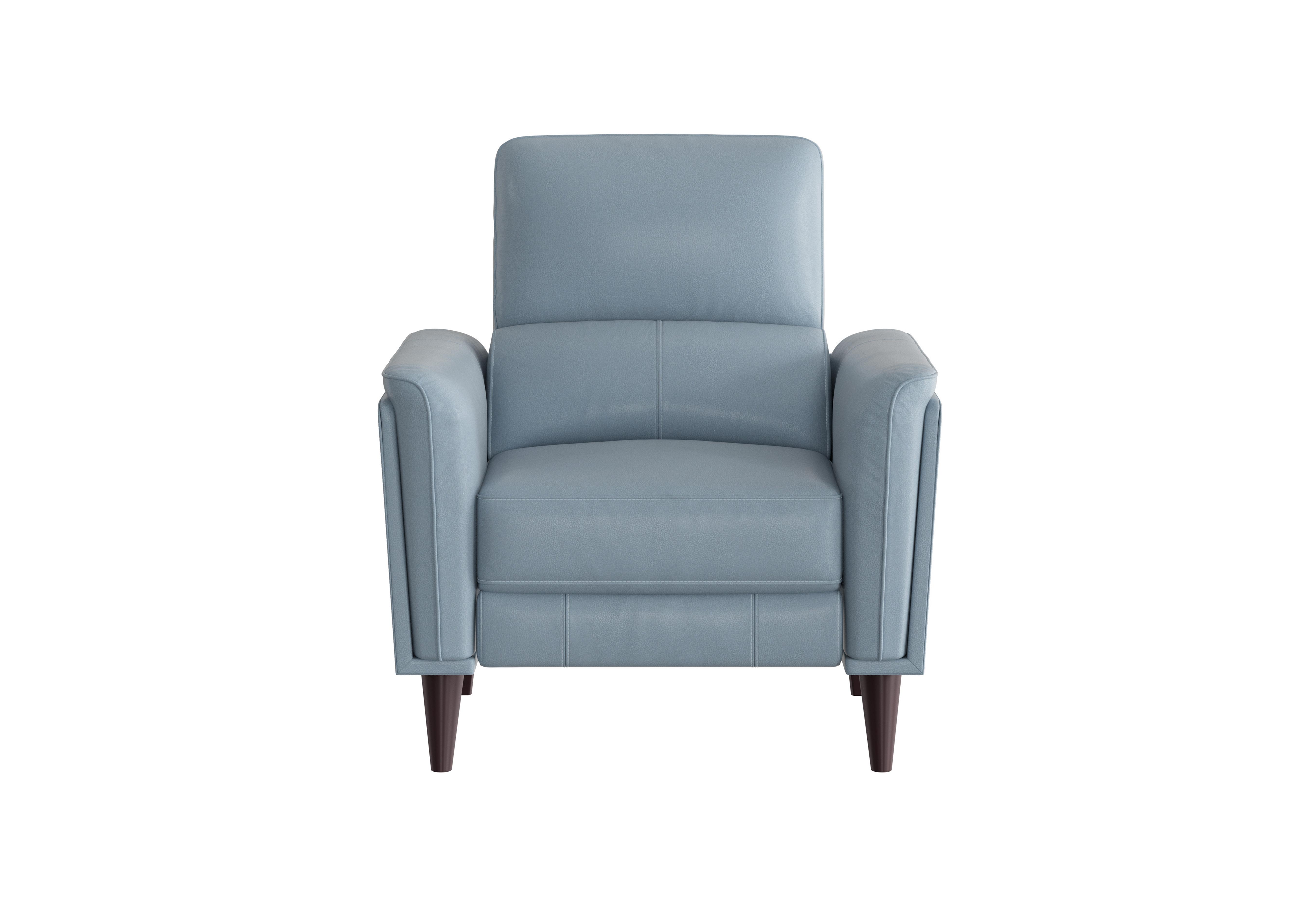 Compact Collection Klein Leather Chair in  on Furniture Village