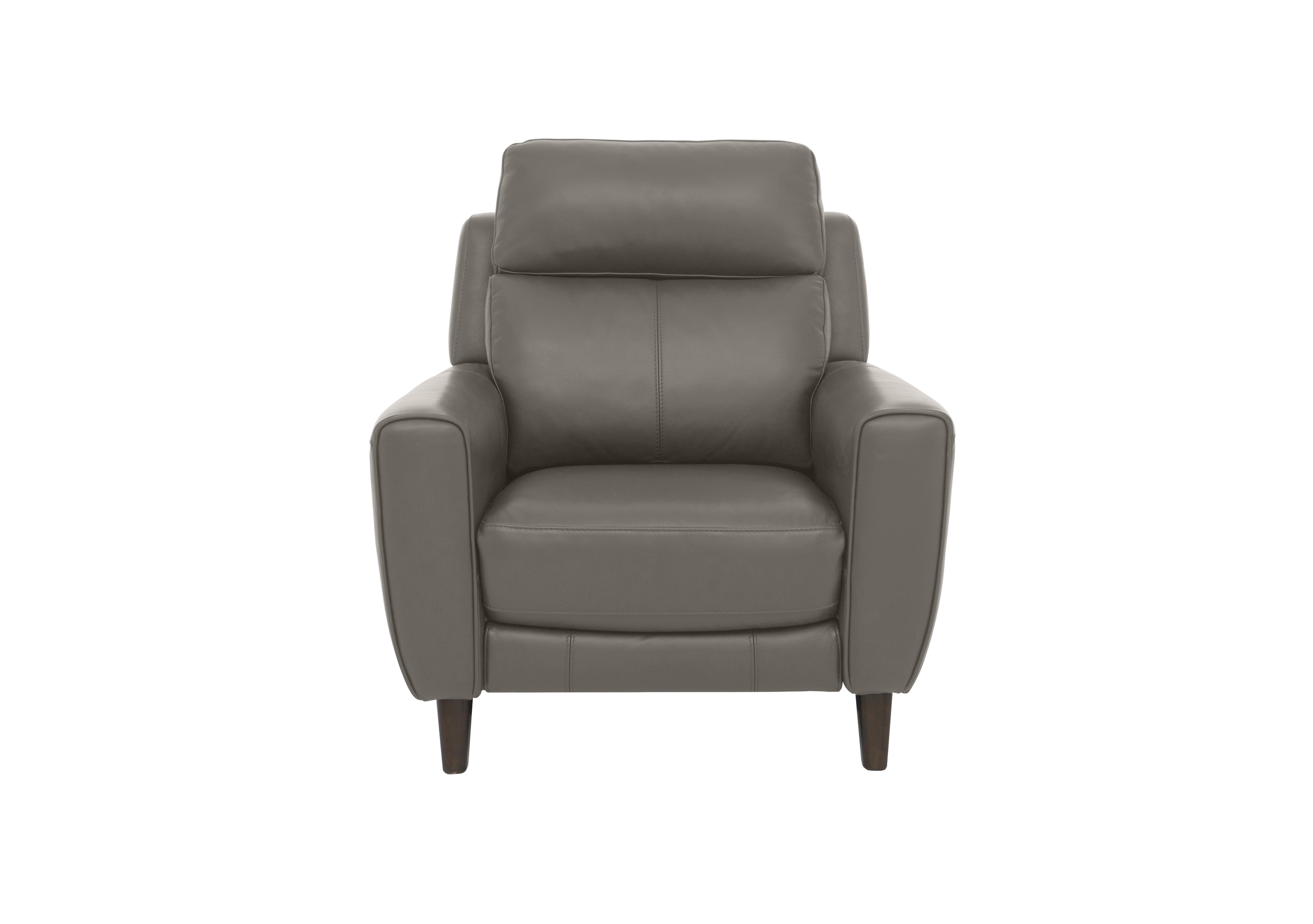 Zen Leather Chair in Bx-042e Elephant on Furniture Village