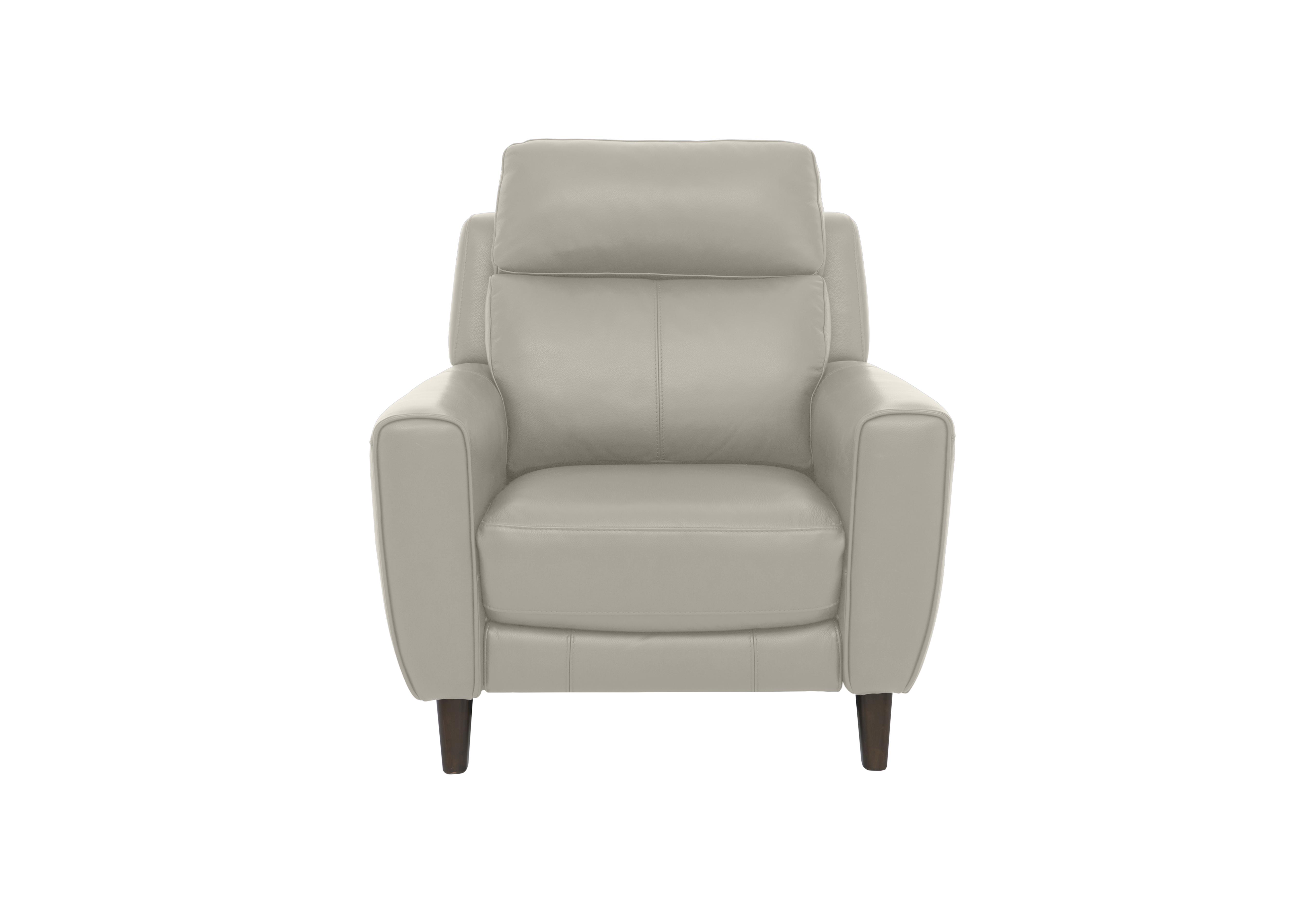 Zen Leather Chair in Bx-251e Grey on Furniture Village