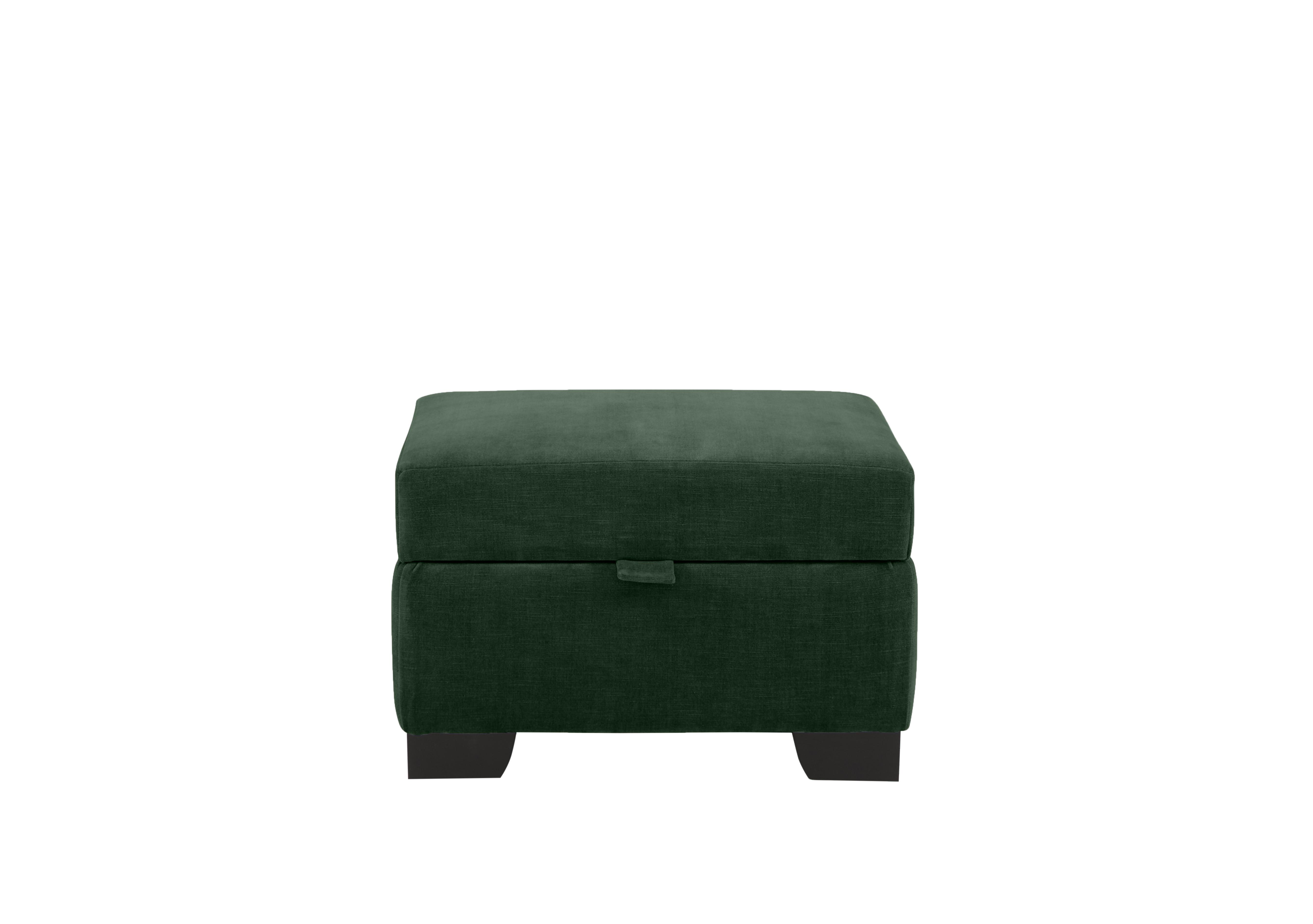 Boutique Palace Storage Footstool in Oasis Parrot on Furniture Village