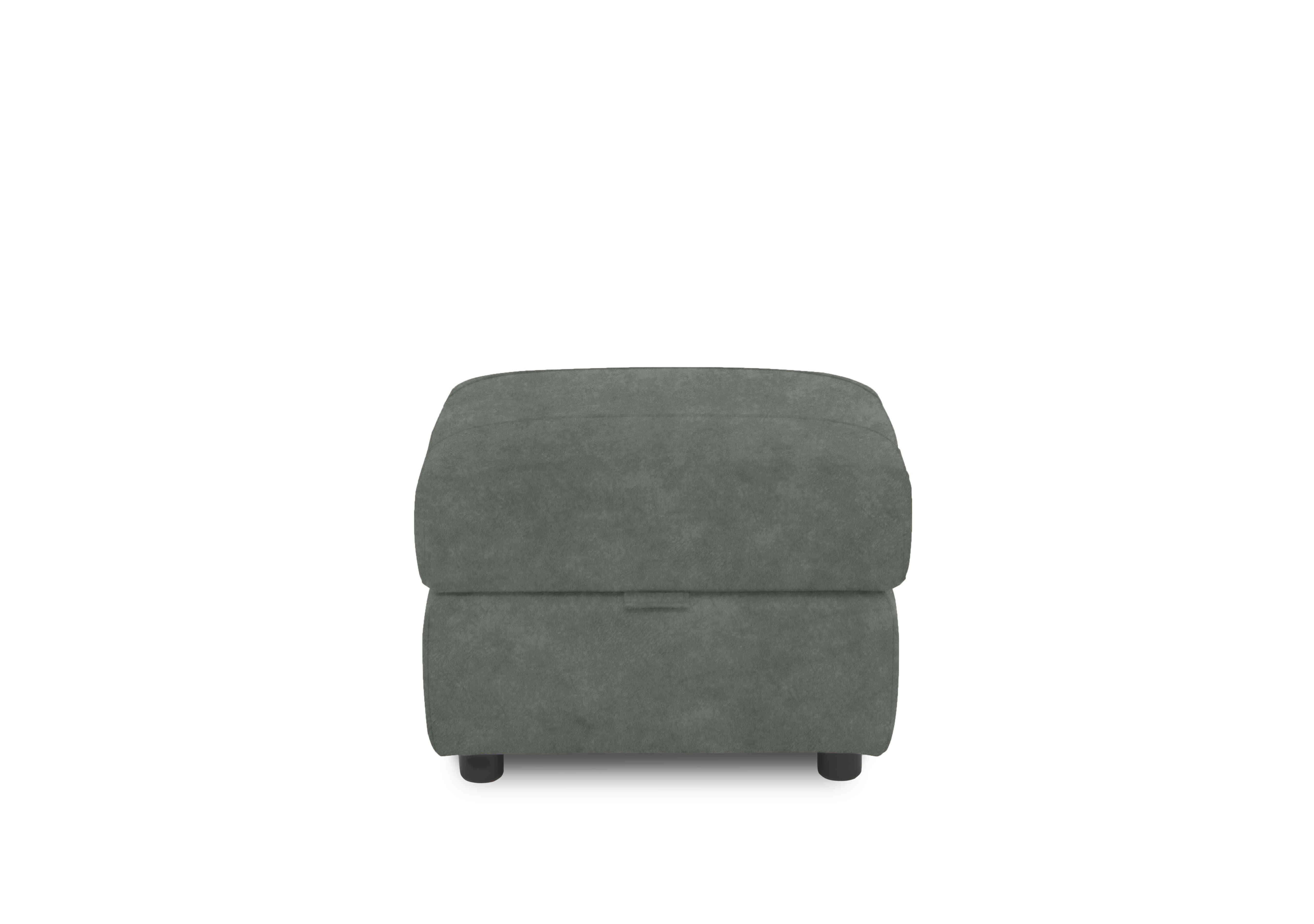 Sloane Fabric Storage Footstool in 43514 Dexter Fern on Furniture Village