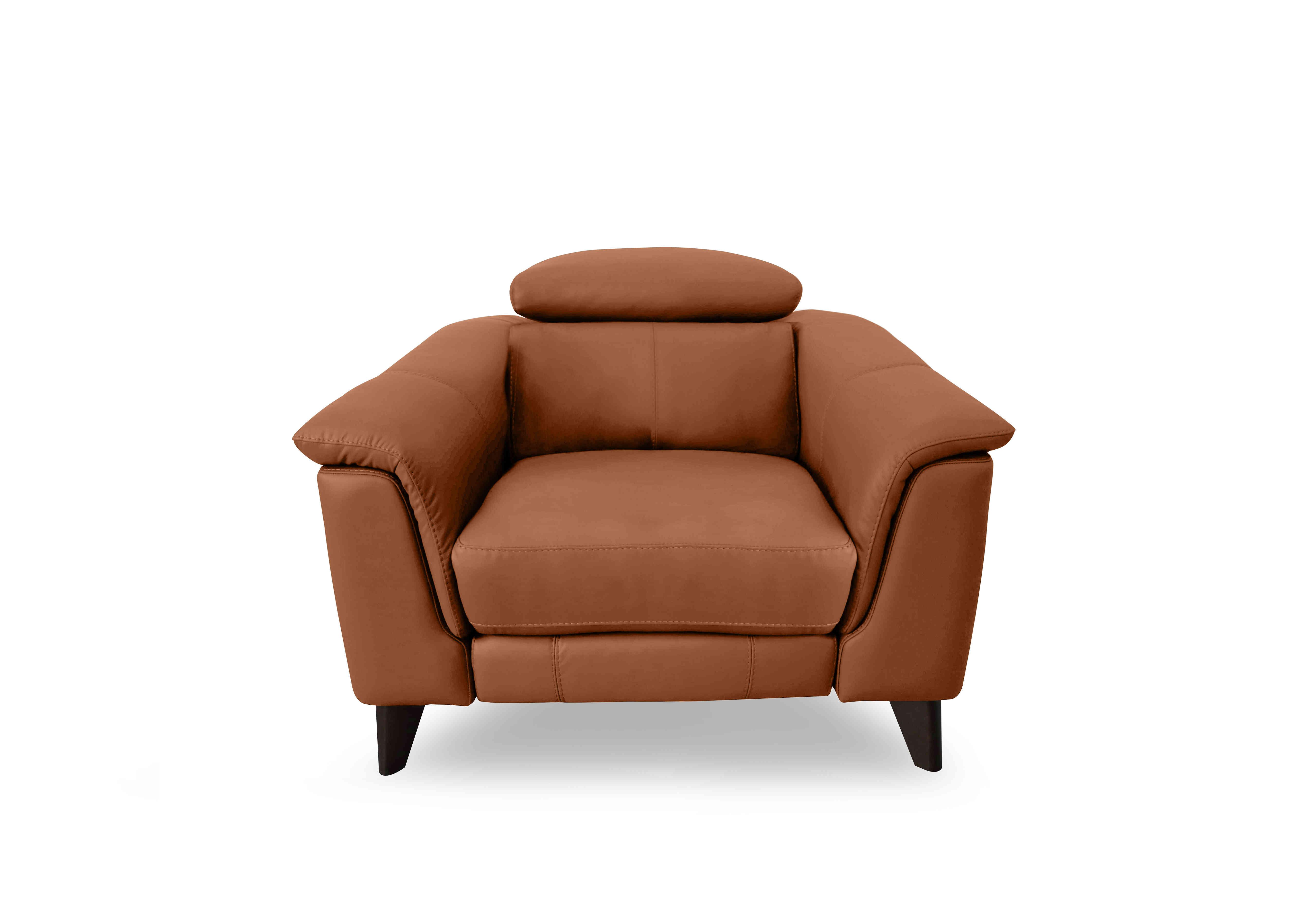 Wade Leather Chair in Nc-334e Pecan Brown on Furniture Village