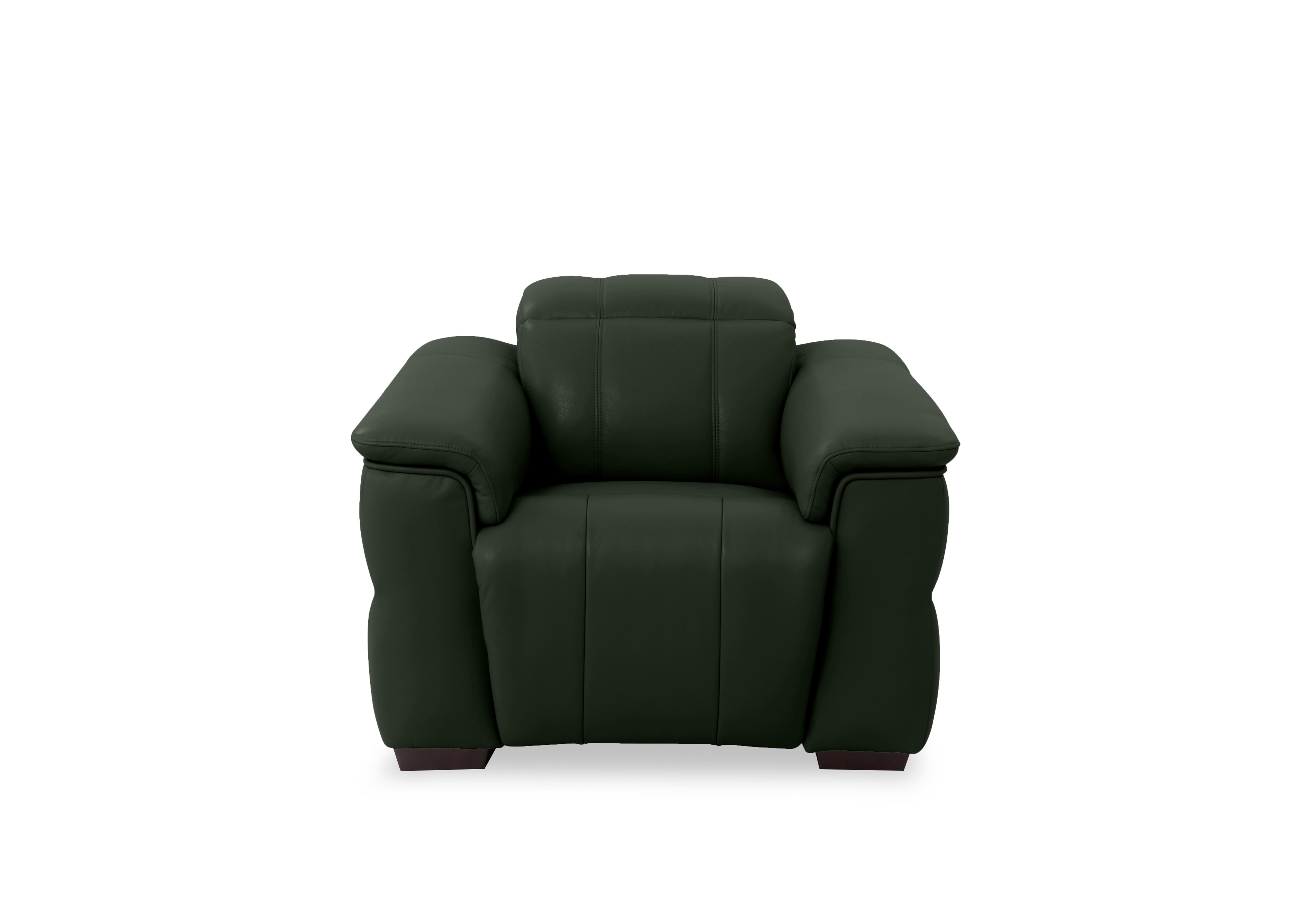 Inca Leather Power Recliner Chair with Power Headrest in Cat-40/10 Oslo Pine on Furniture Village