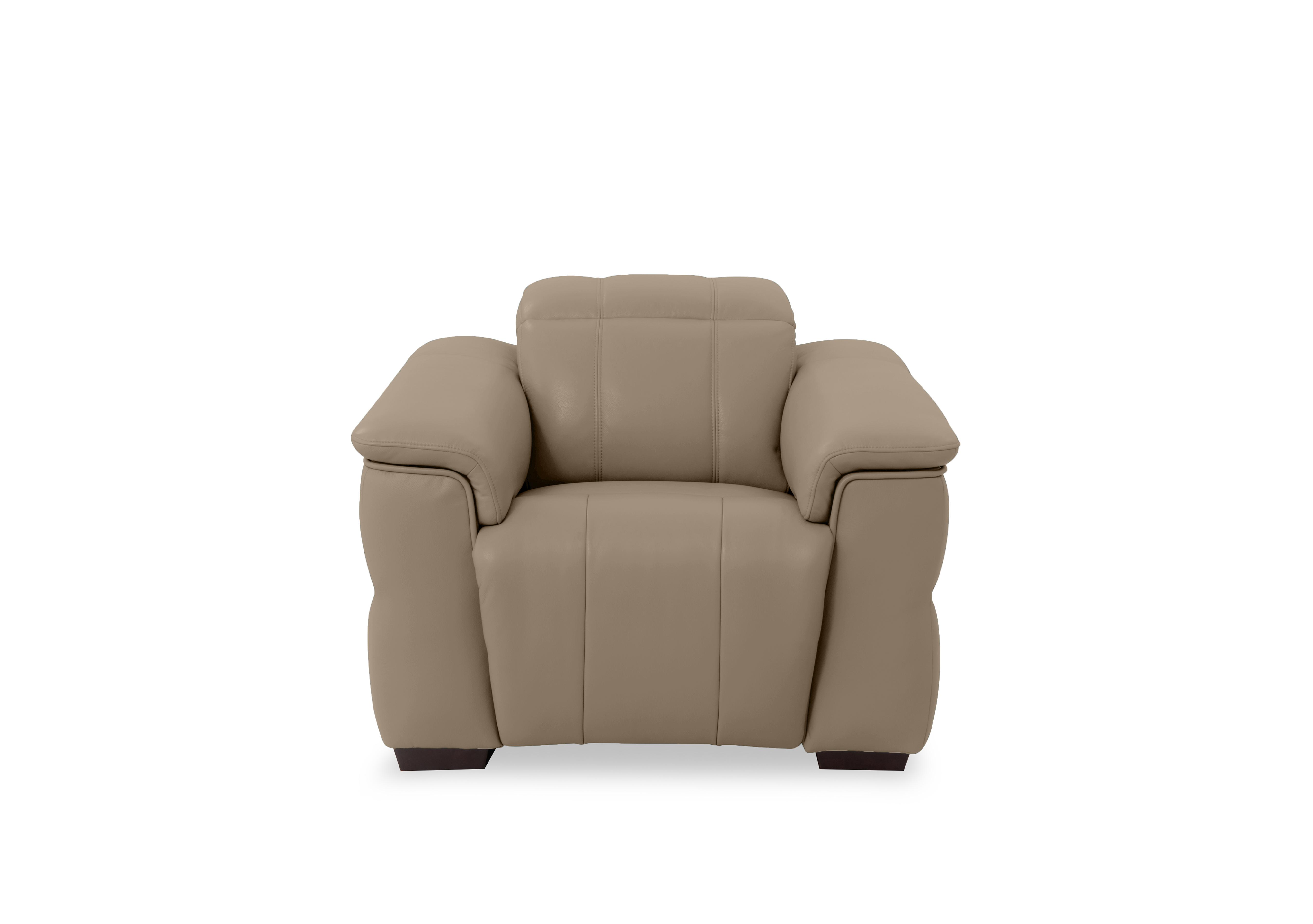 Inca Leather Power Recliner Chair with Power Headrest in Cat-60/06 Barley on Furniture Village