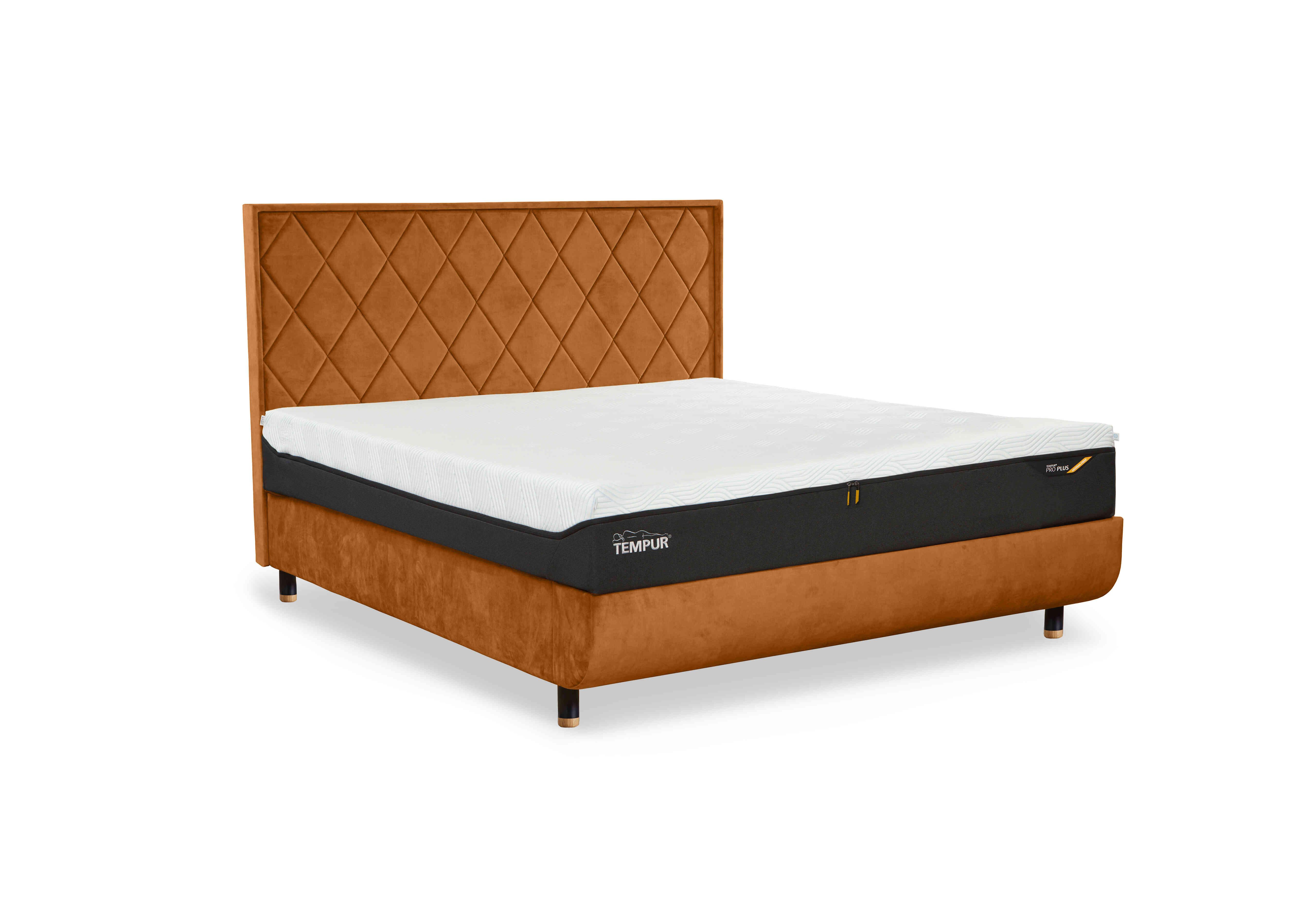 Arc Disc Bed Frame with Quilted Headboard in Gold-Black/Oak Feet on Furniture Village
