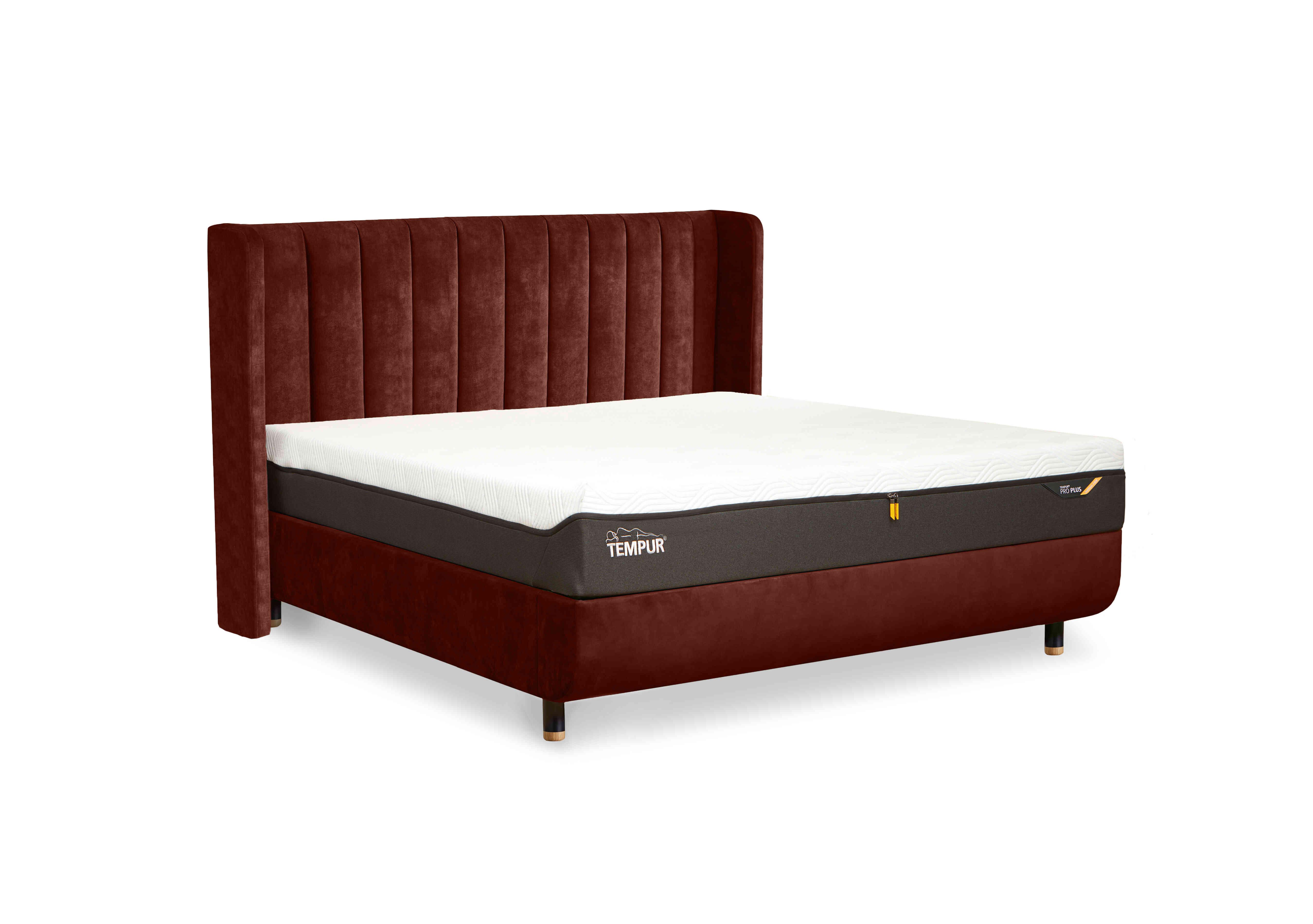 Arc Disc Bed Frame with Lodret Headboard in Copper-Black/Oak Feet on Furniture Village