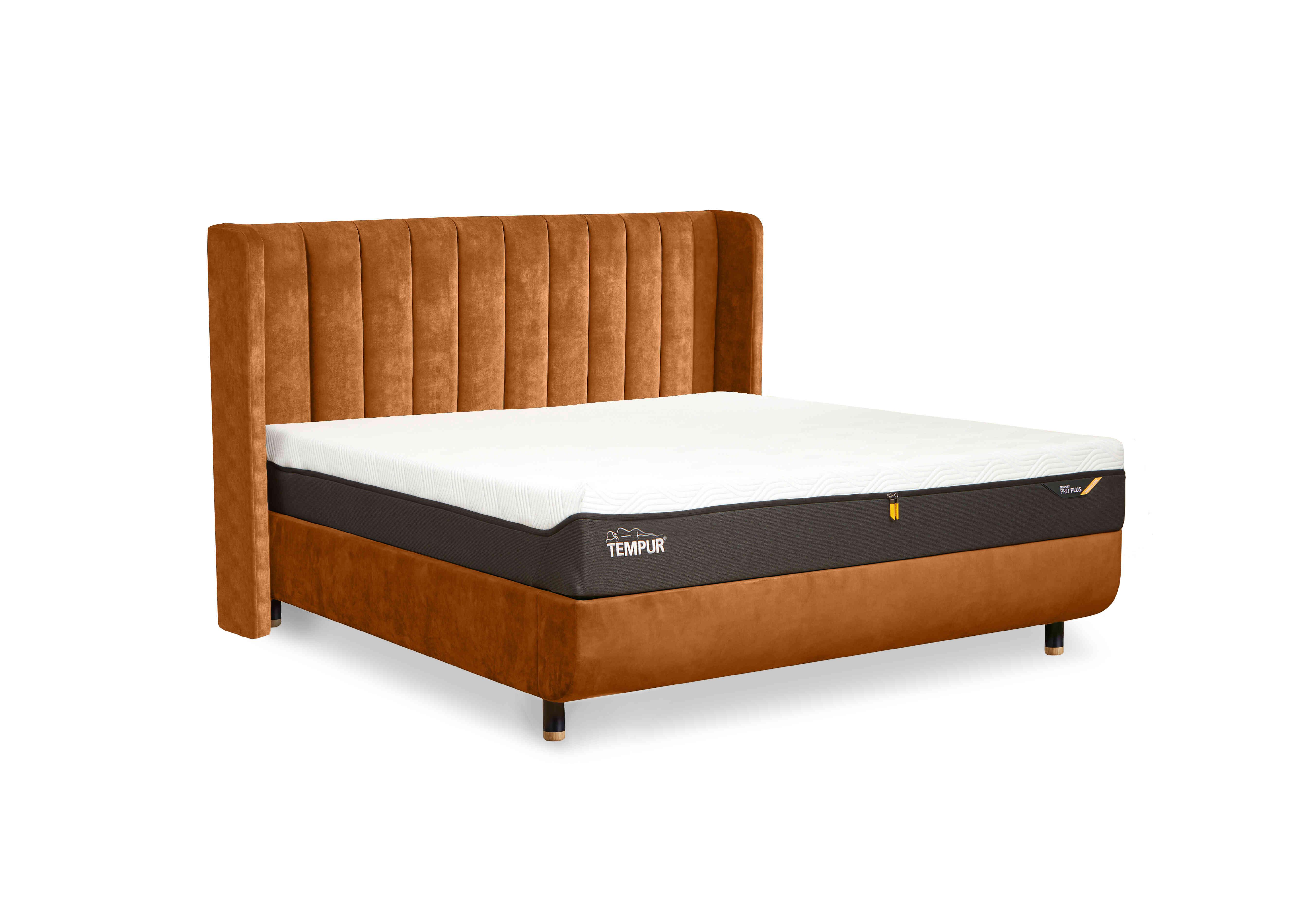 Arc Disc Bed Frame with Lodret Headboard in Gold-Natural Ash Feet on Furniture Village
