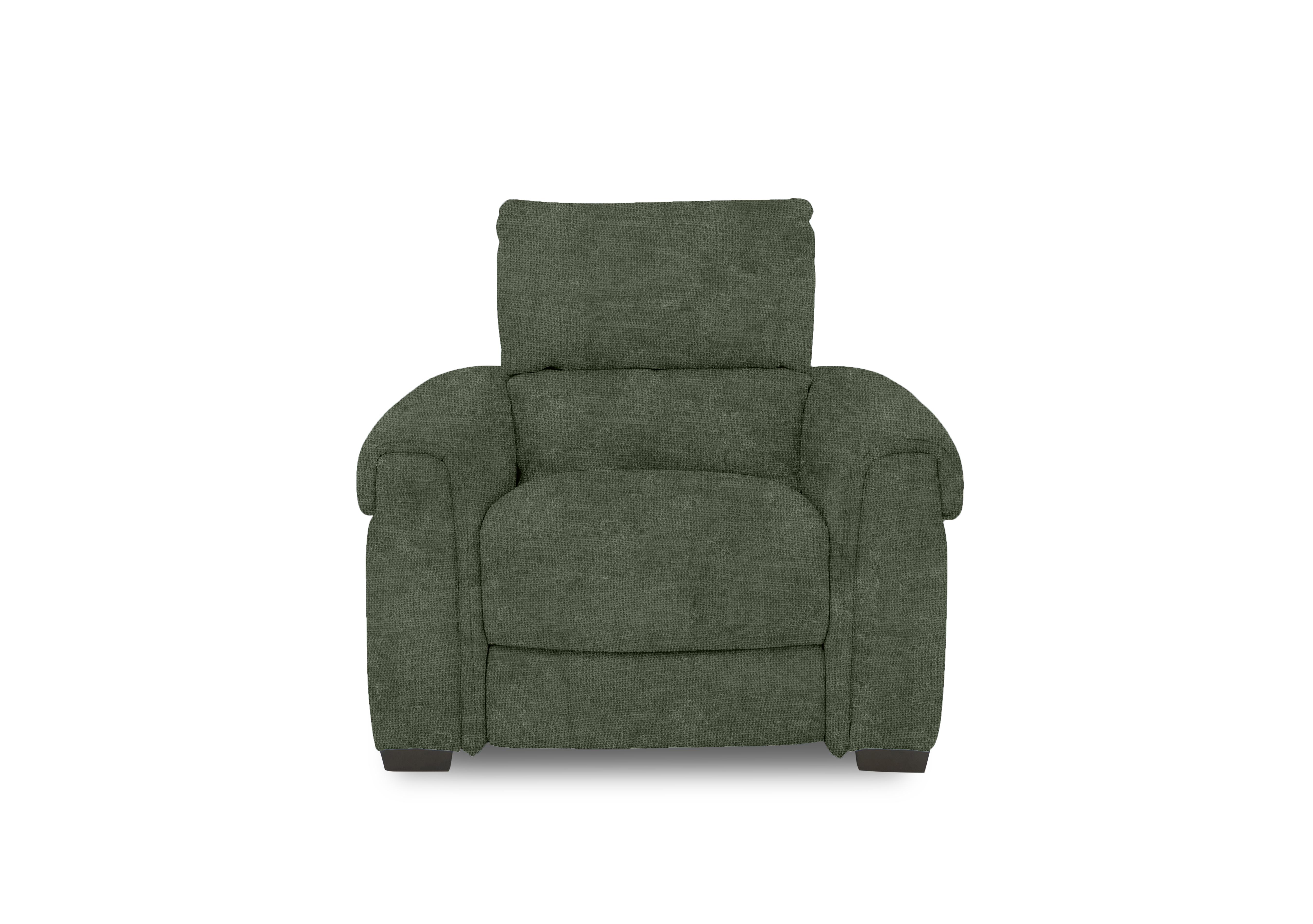 Nixon Fabric Chair in Fab-Coe-R801 Olive Green on Furniture Village