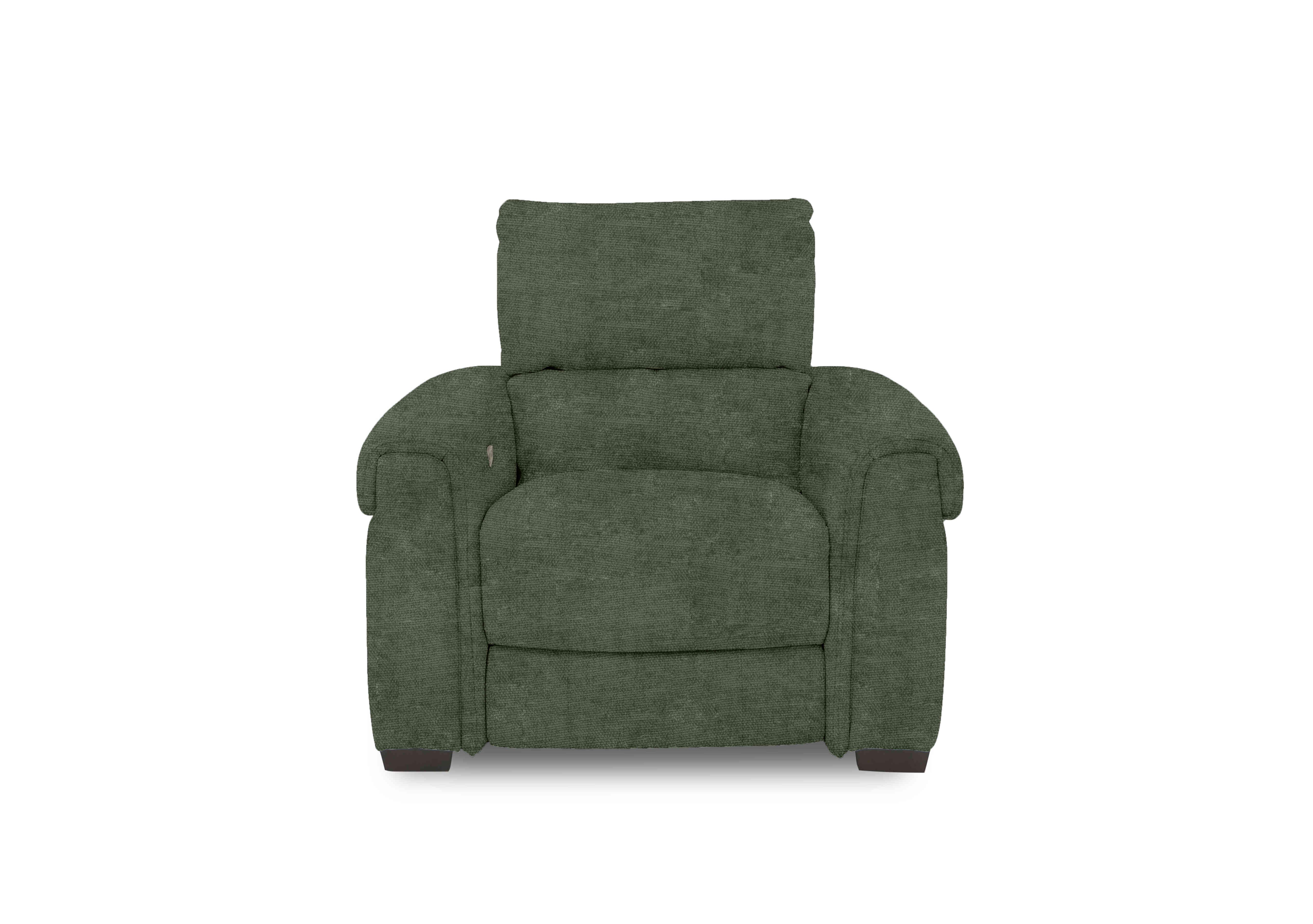 Nixon Fabric Chair in Fab-Coe-R801 Olive Green on Furniture Village