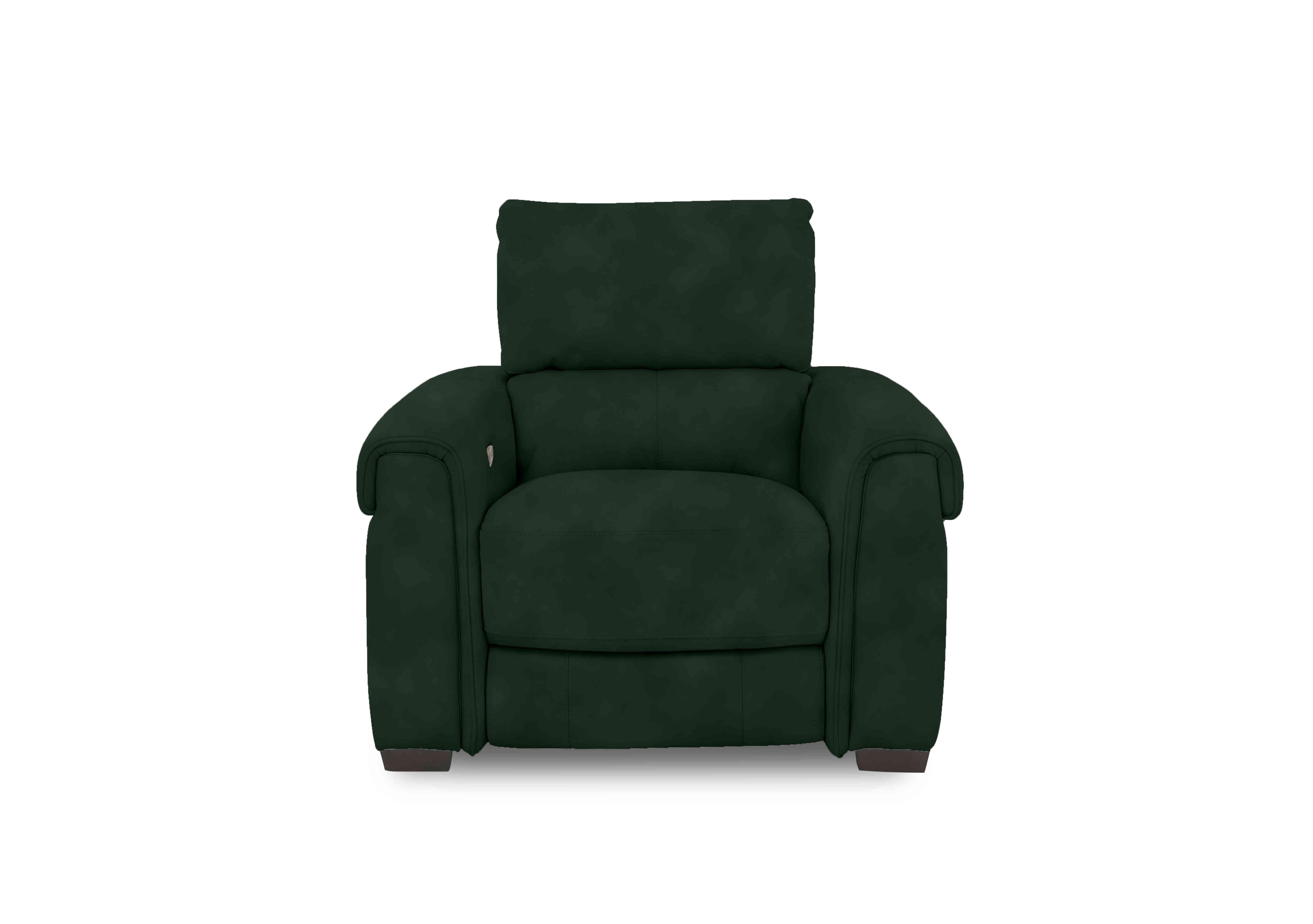 Nixon Fabric Chair in Sfa-Pey-R11 Dark Green on Furniture Village