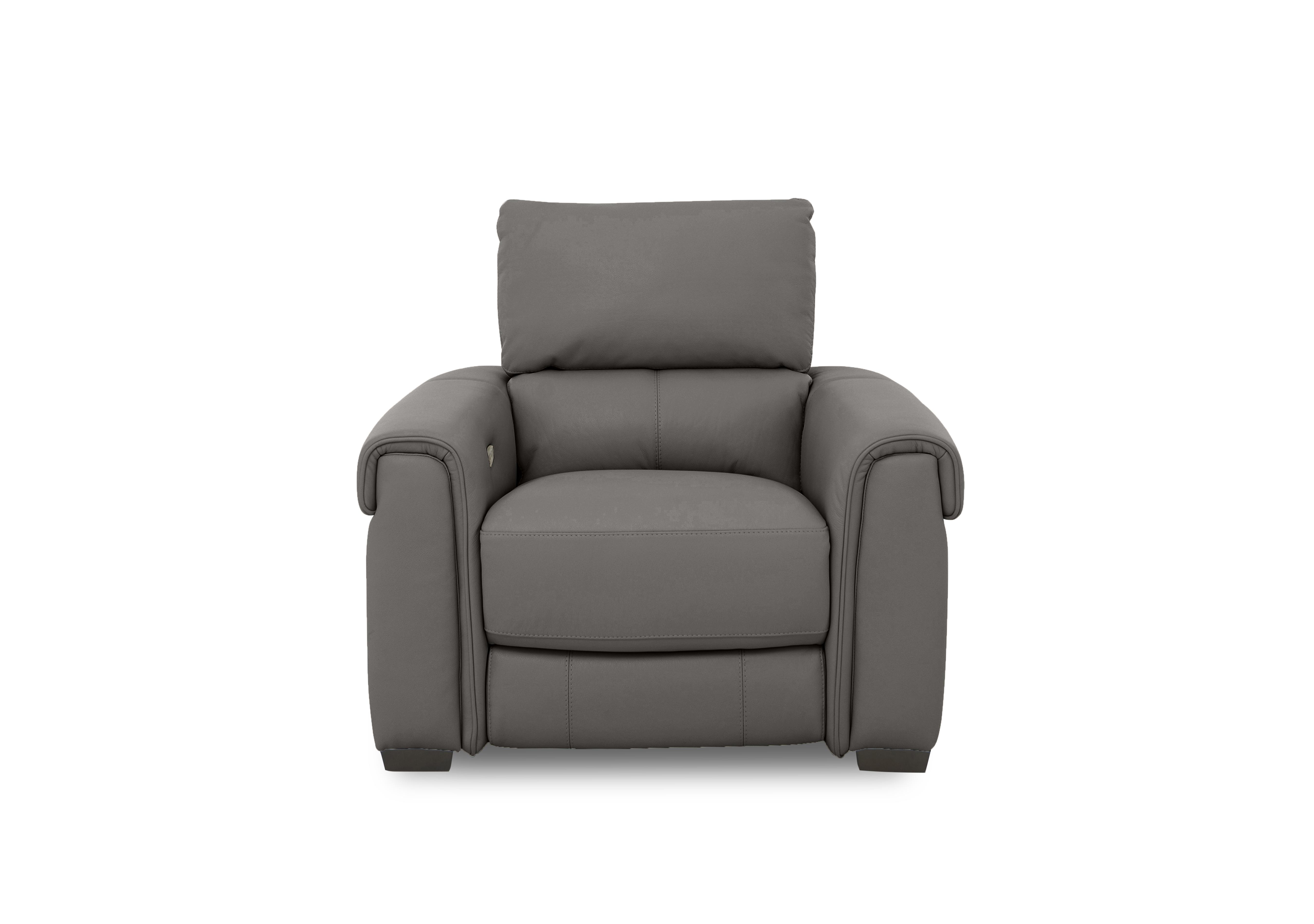 Nixon Leather Chair in Bv-042e Elephant on Furniture Village