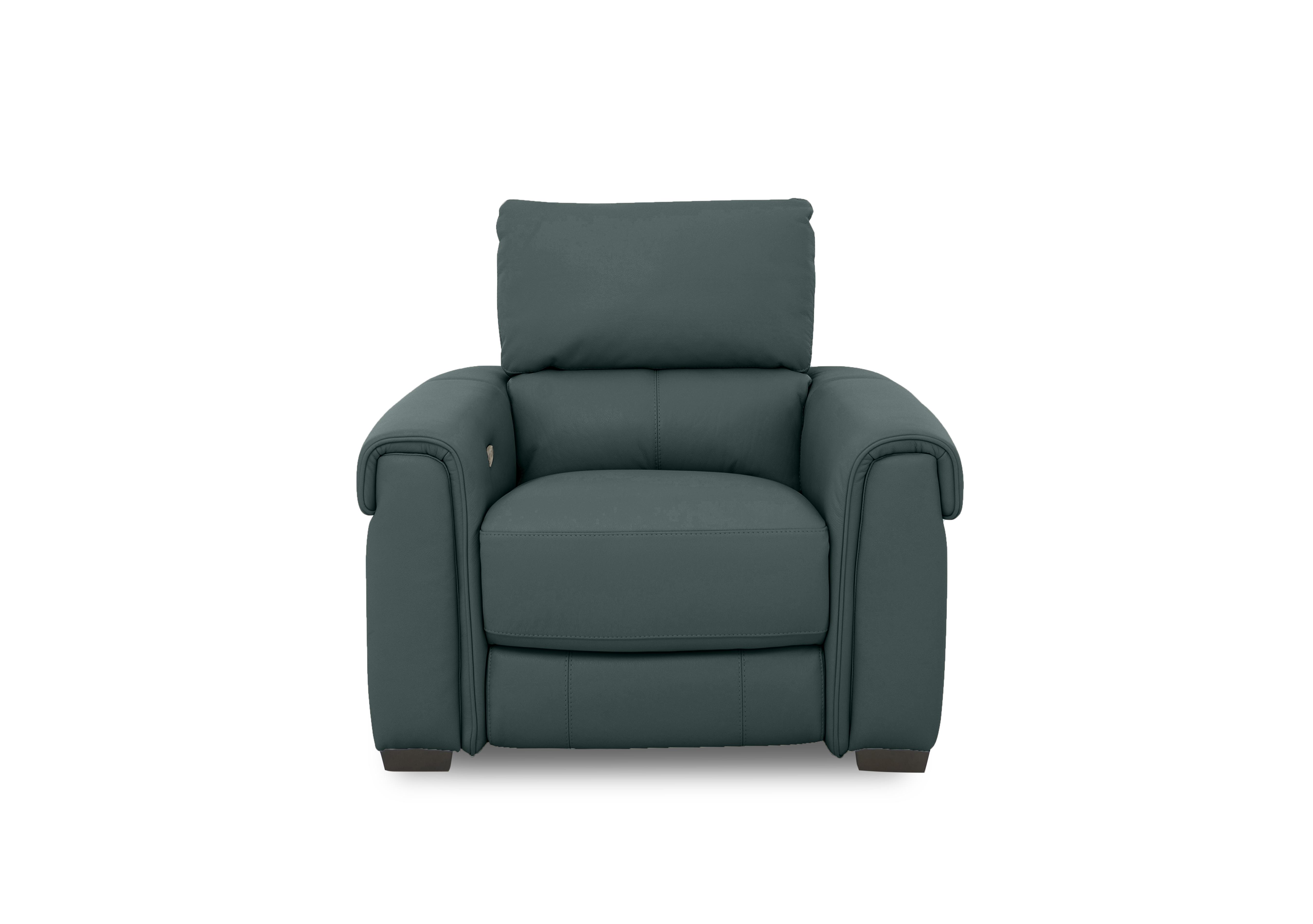Nixon Leather Chair in Bv-301e Lake Green on Furniture Village