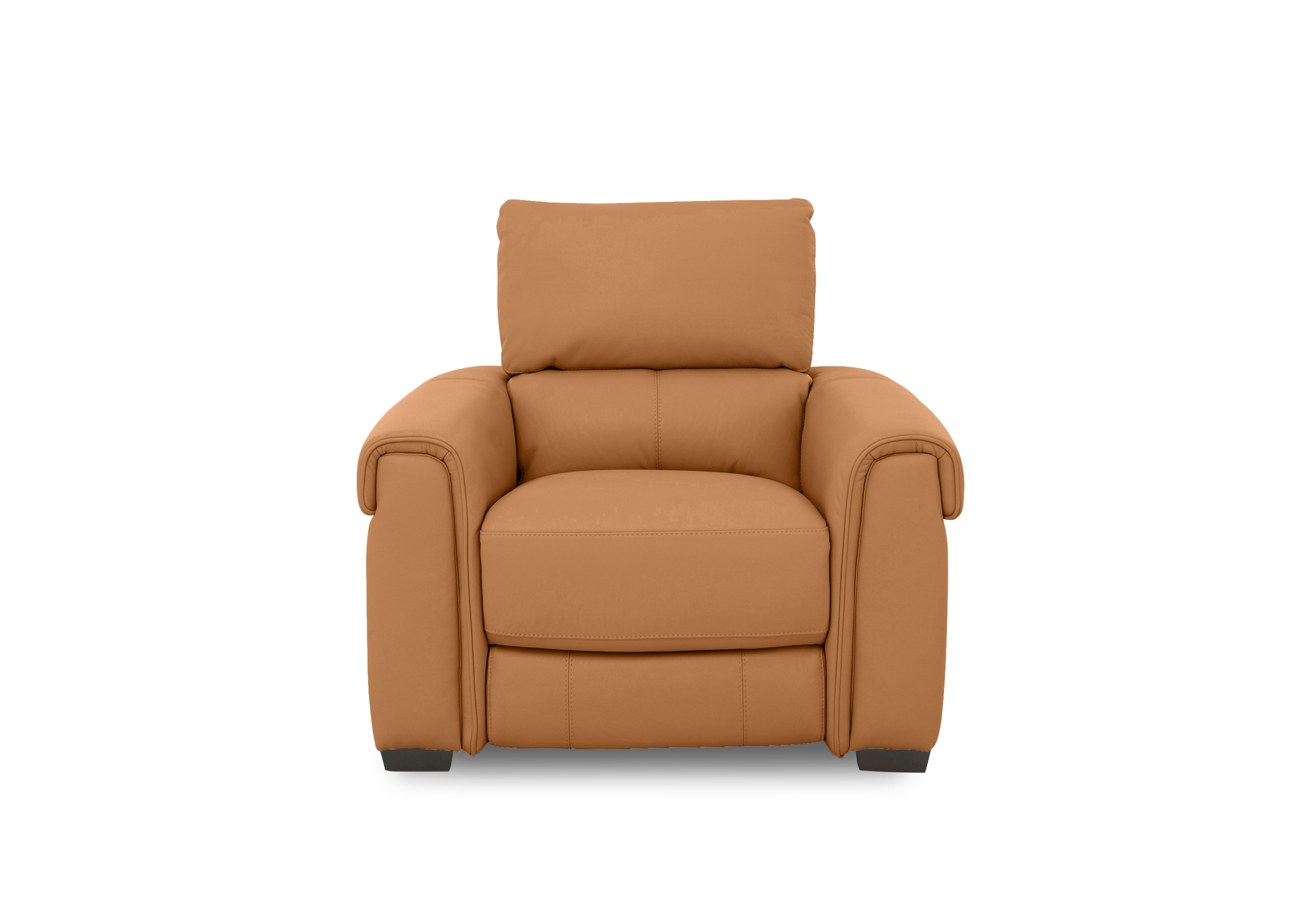 Nixon Leather Chair in Bv-335e Honey Yellow on Furniture Village