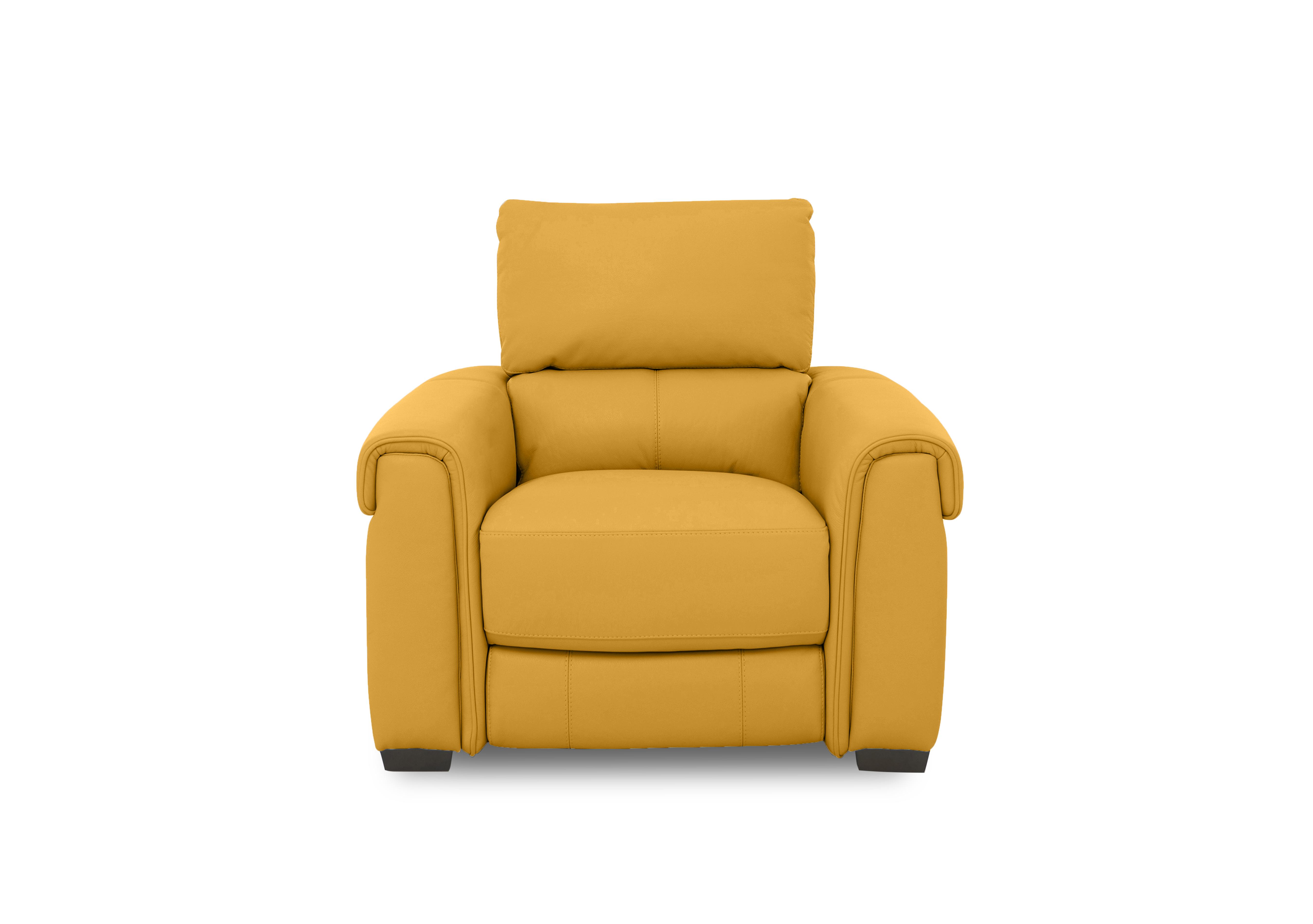 Nixon Leather Chair in Nc-303e Sunflower on Furniture Village