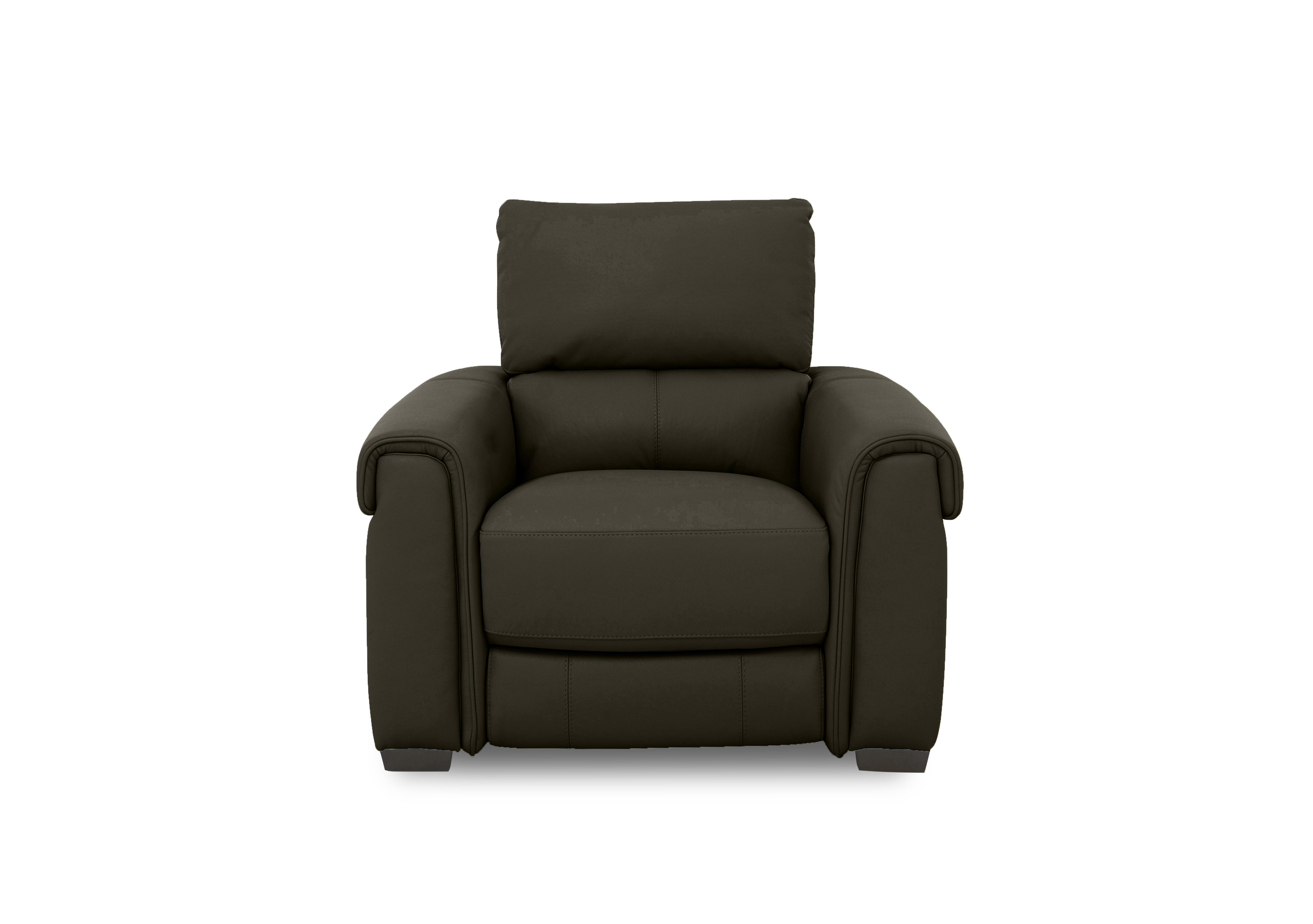 Nixon Leather Chair in Nw-548e Olive on Furniture Village