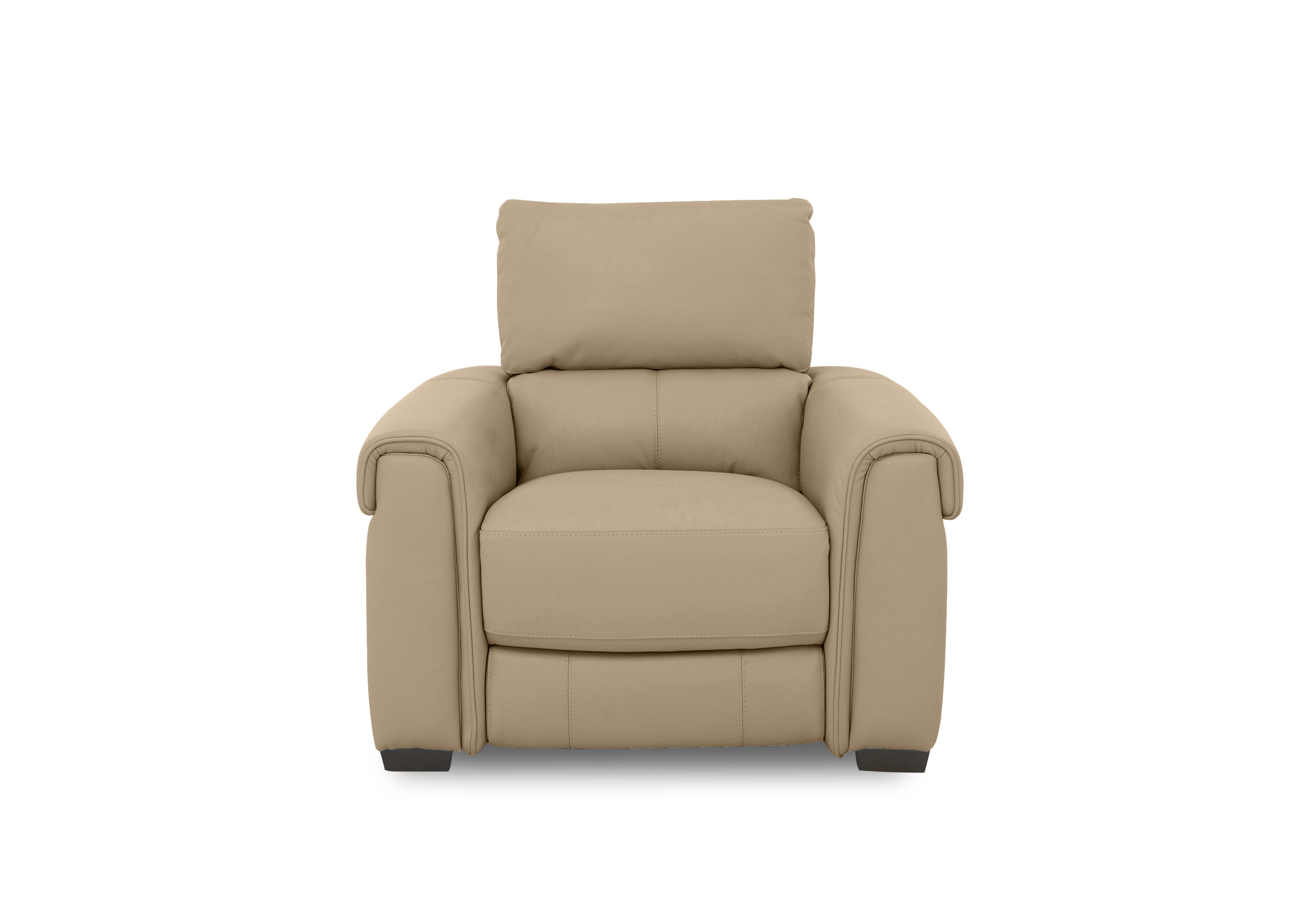 Nixon Leather Chair in Nw-8475 Nude on Furniture Village