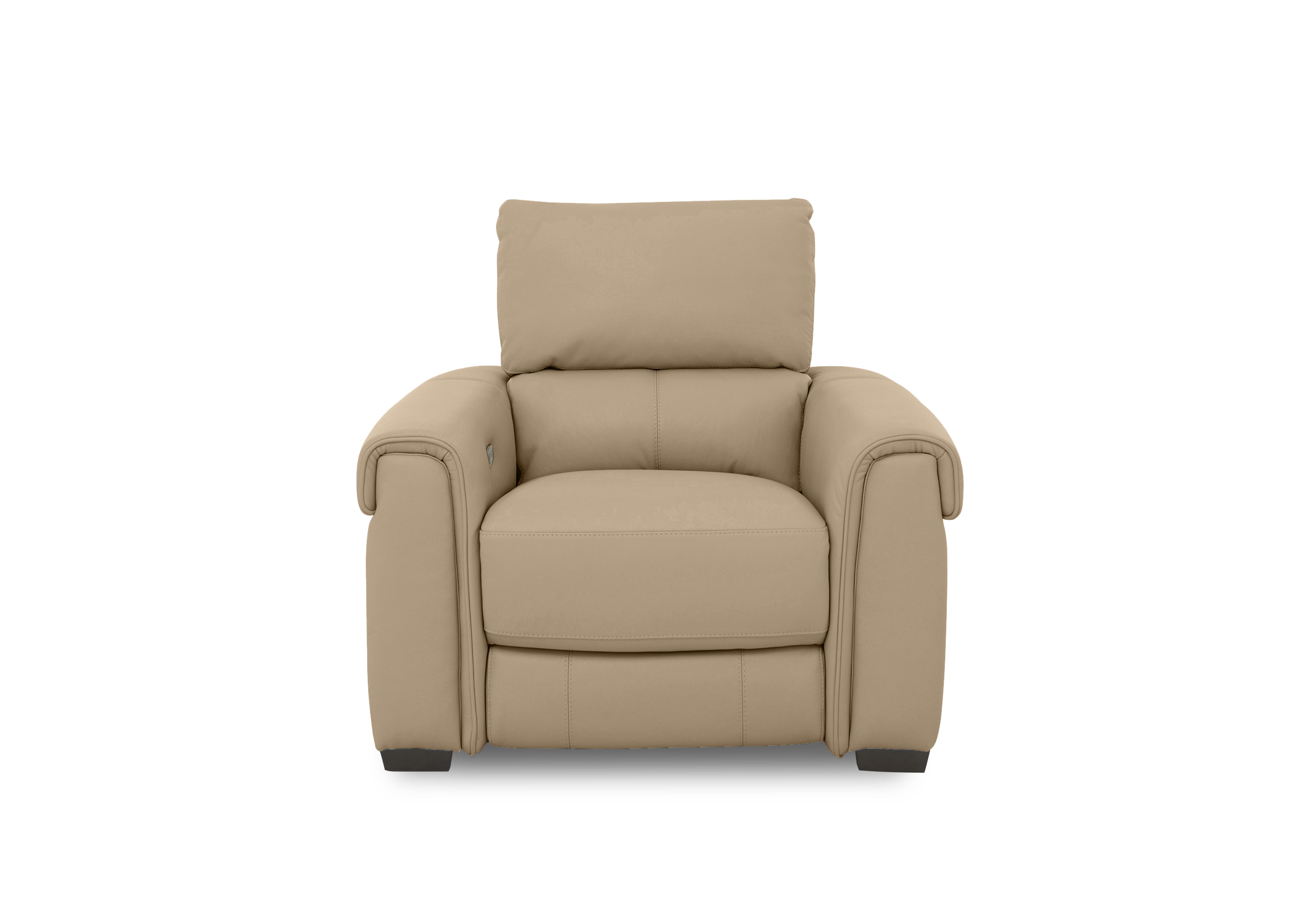 Nixon Leather Chair in Nw-8475 Nude on Furniture Village