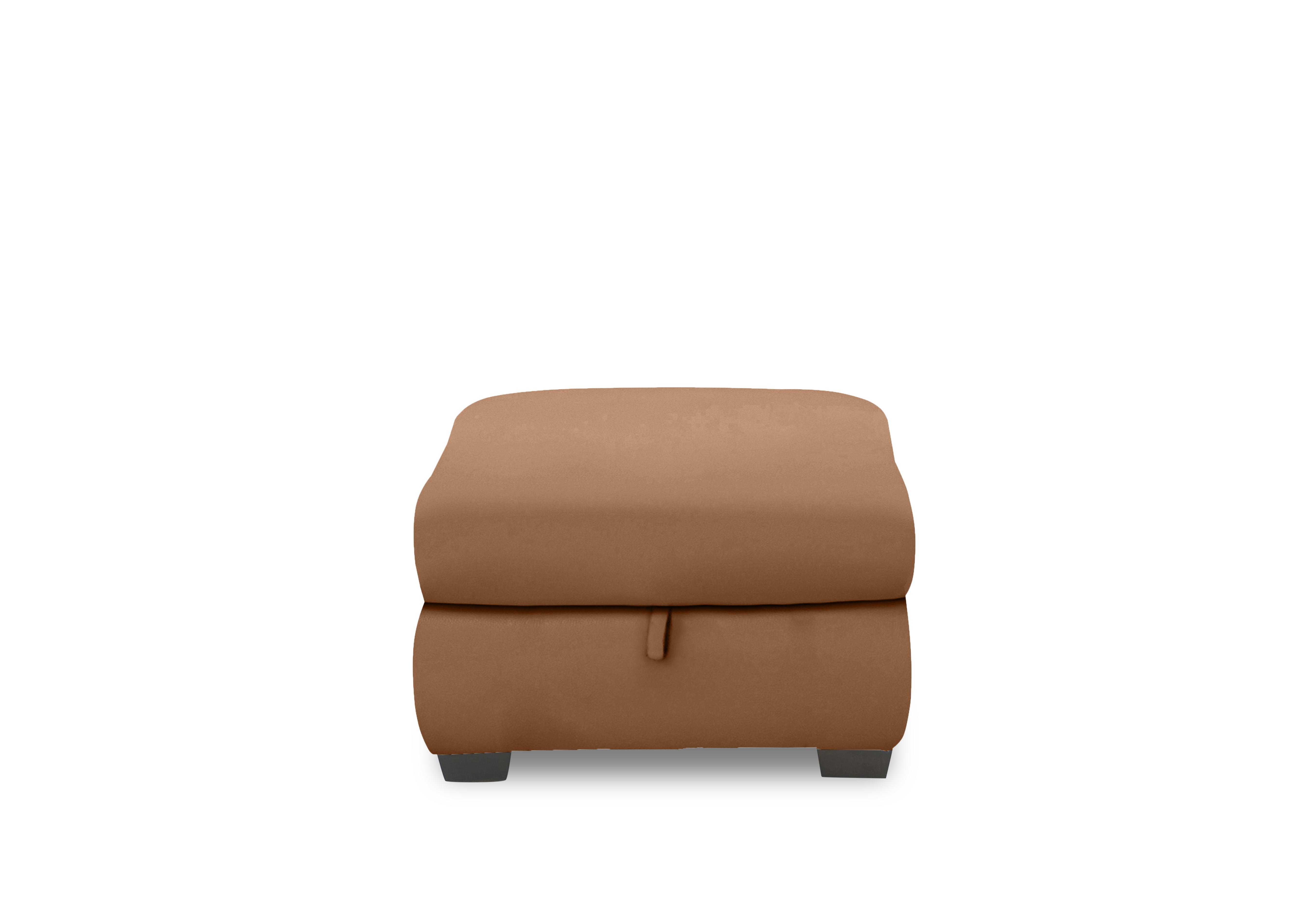 Nixon Leather Storage Footstool in Hw-602b Pecan Brown on Furniture Village