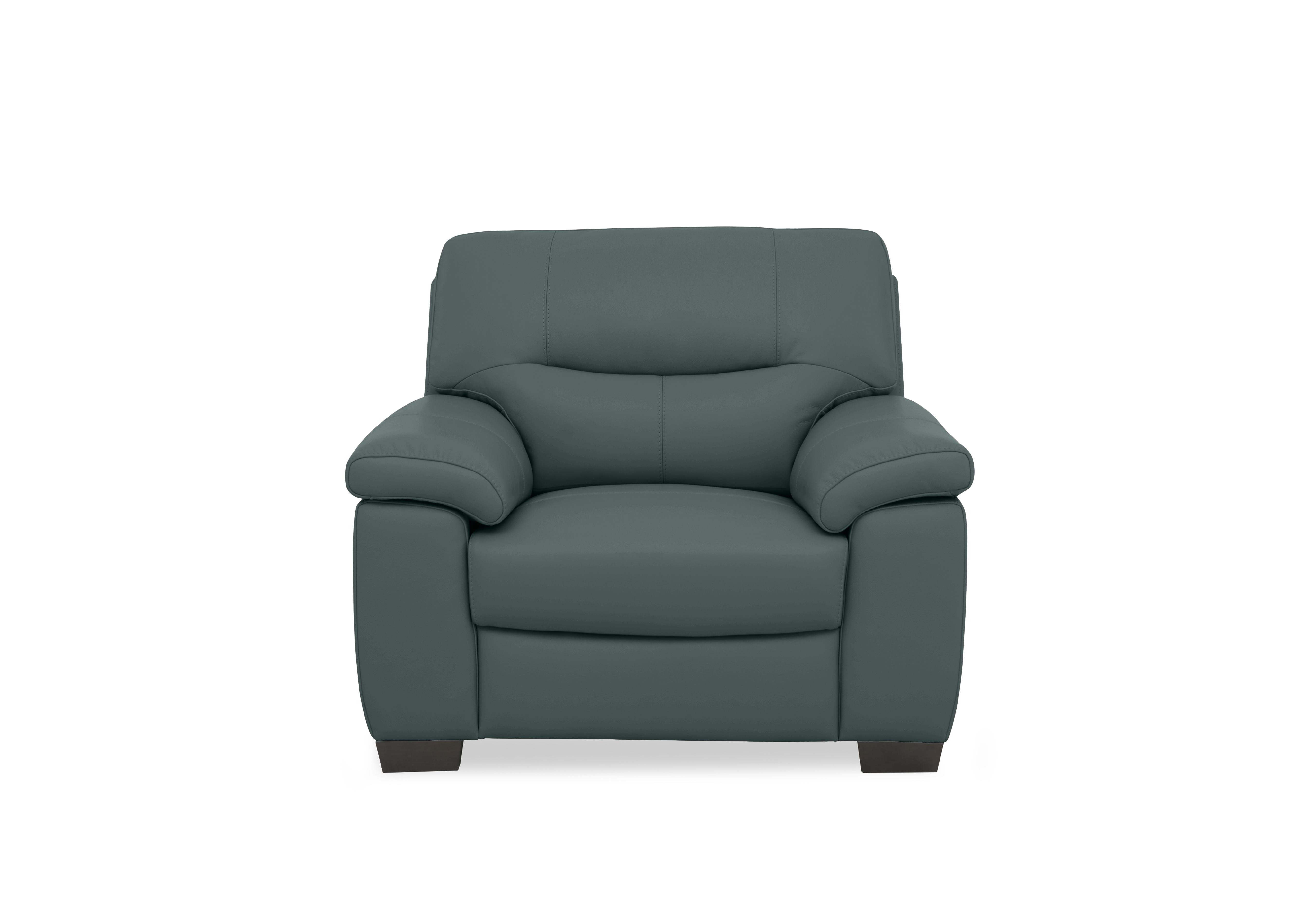 Hetty Leather Chair in Nc-301e Lake Green on Furniture Village