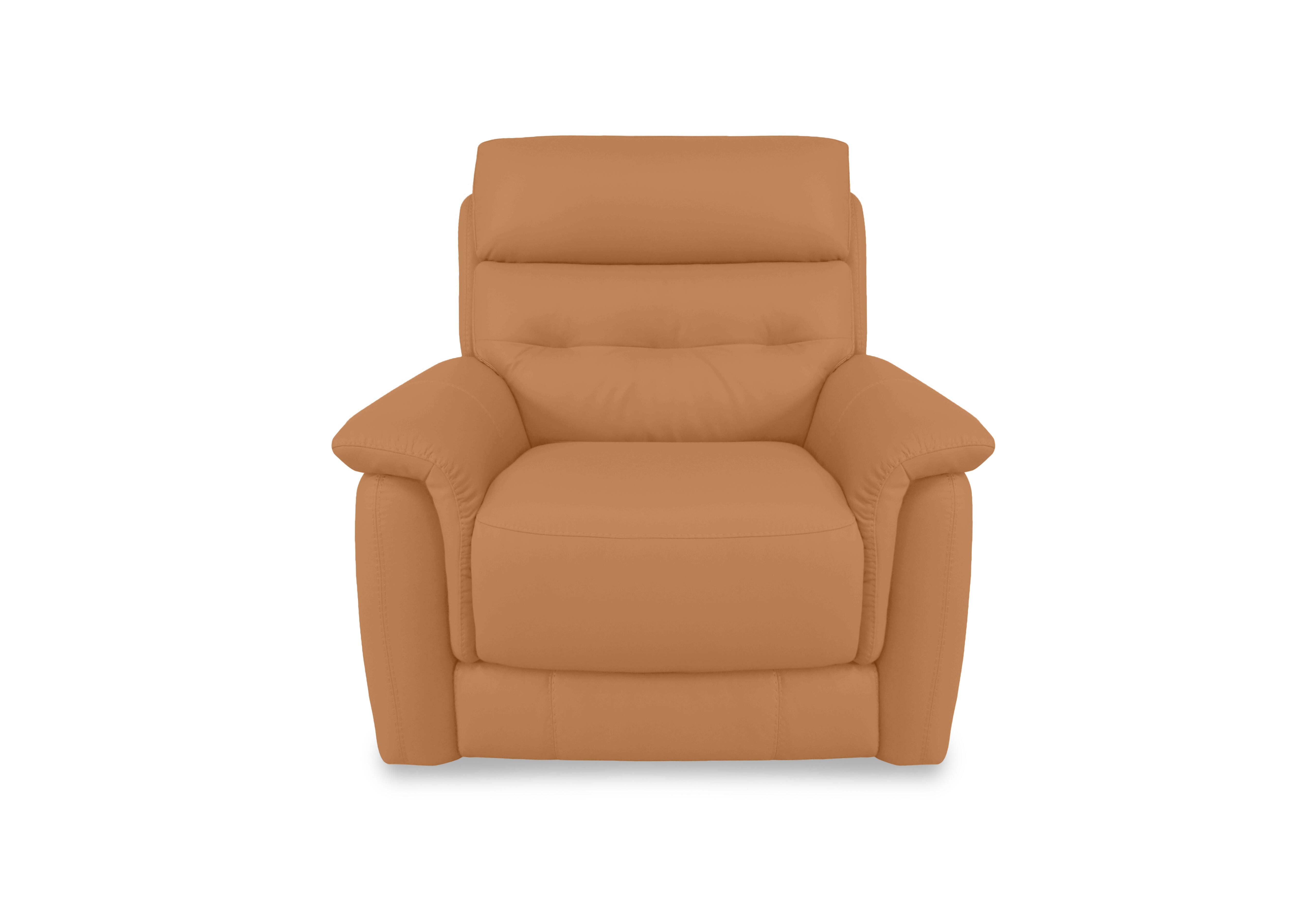 Springer Leather Armchair in Bv-335e Honey Yellow on Furniture Village
