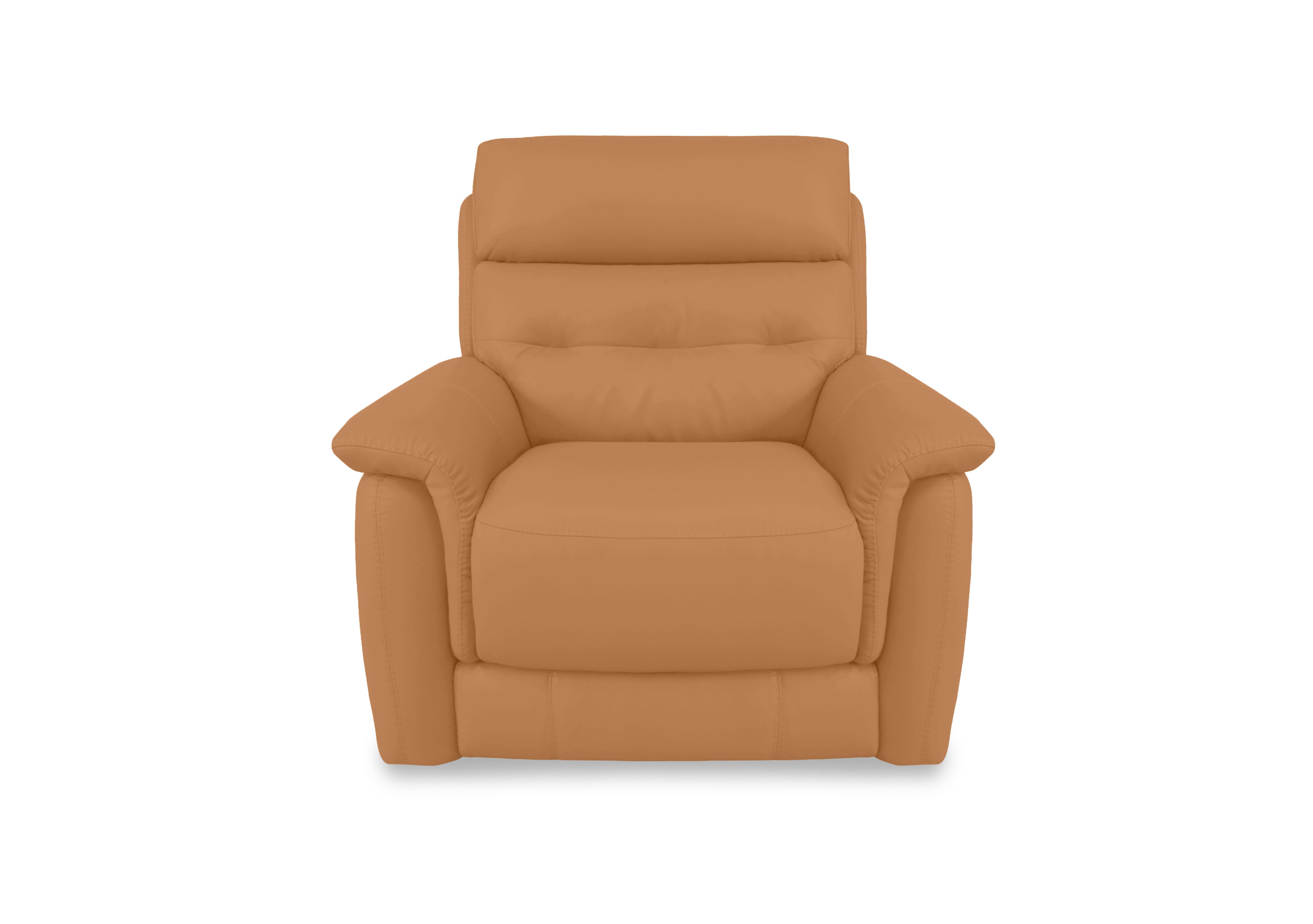 Springer Leather Armchair in Bv-335e Honey Yellow on Furniture Village
