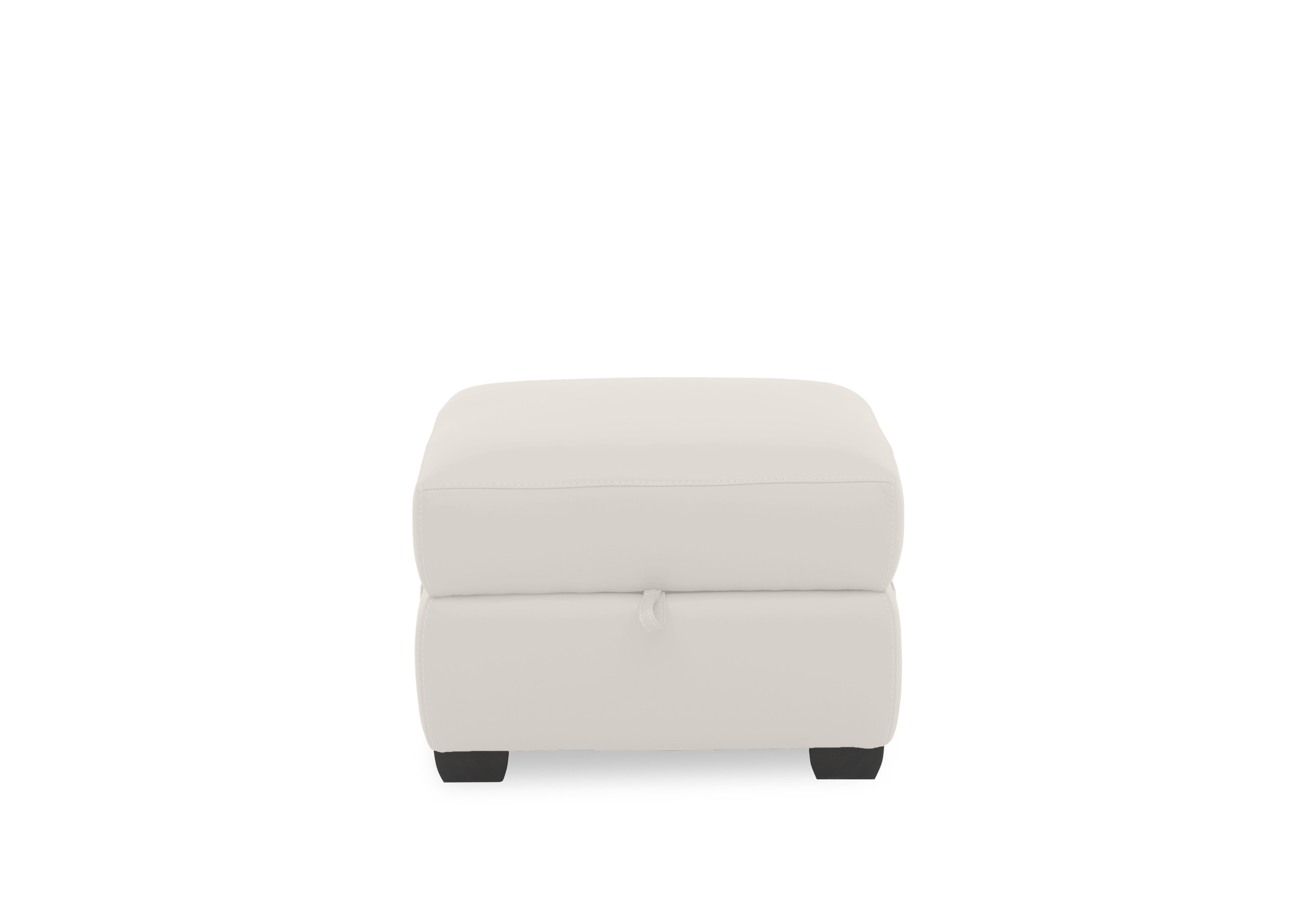 Springer Leather Storage Footstool in Bv-156e Frost on Furniture Village