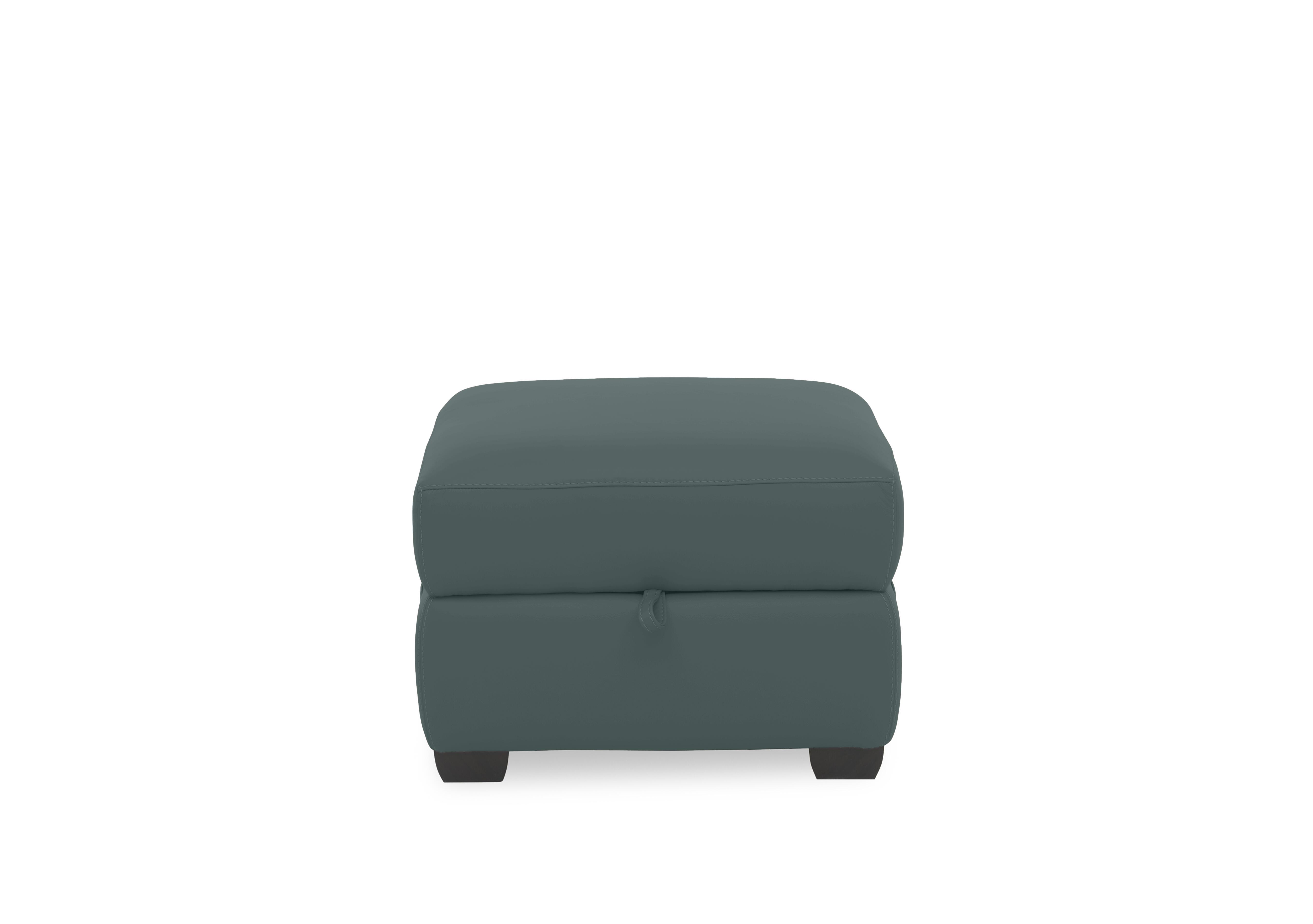 Springer Leather Storage Footstool in Bv-301e Lake Green on Furniture Village